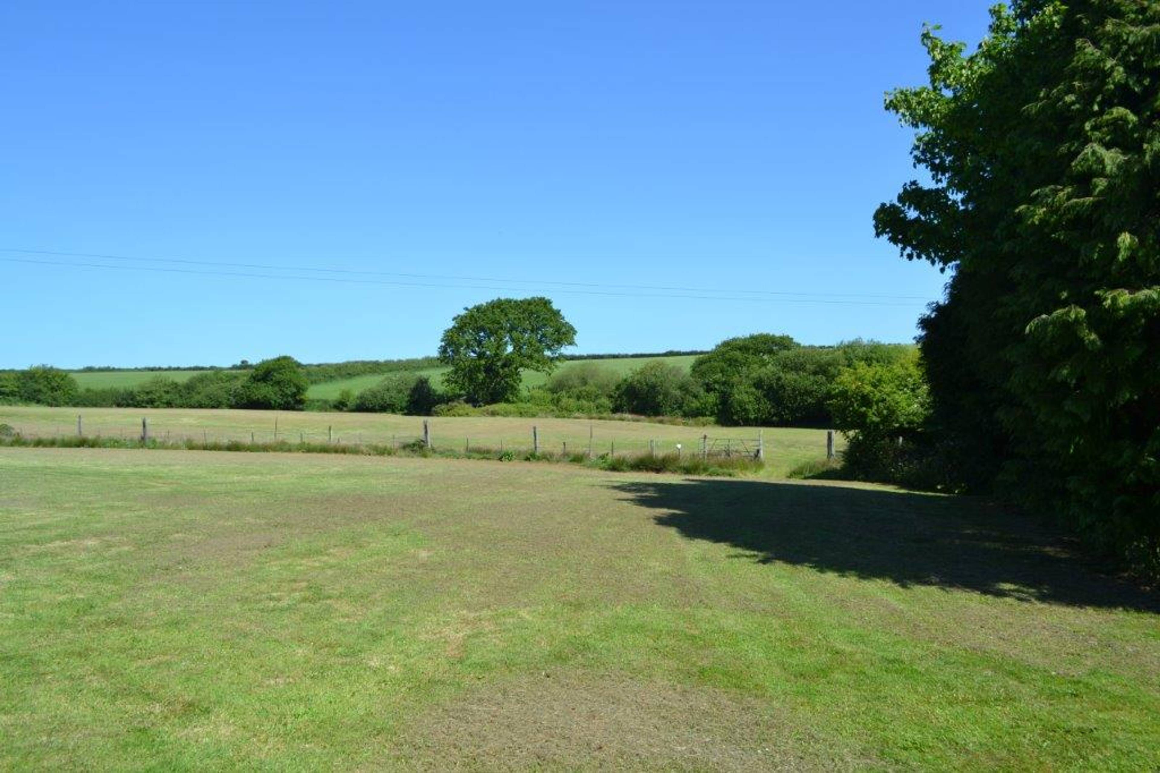 Field