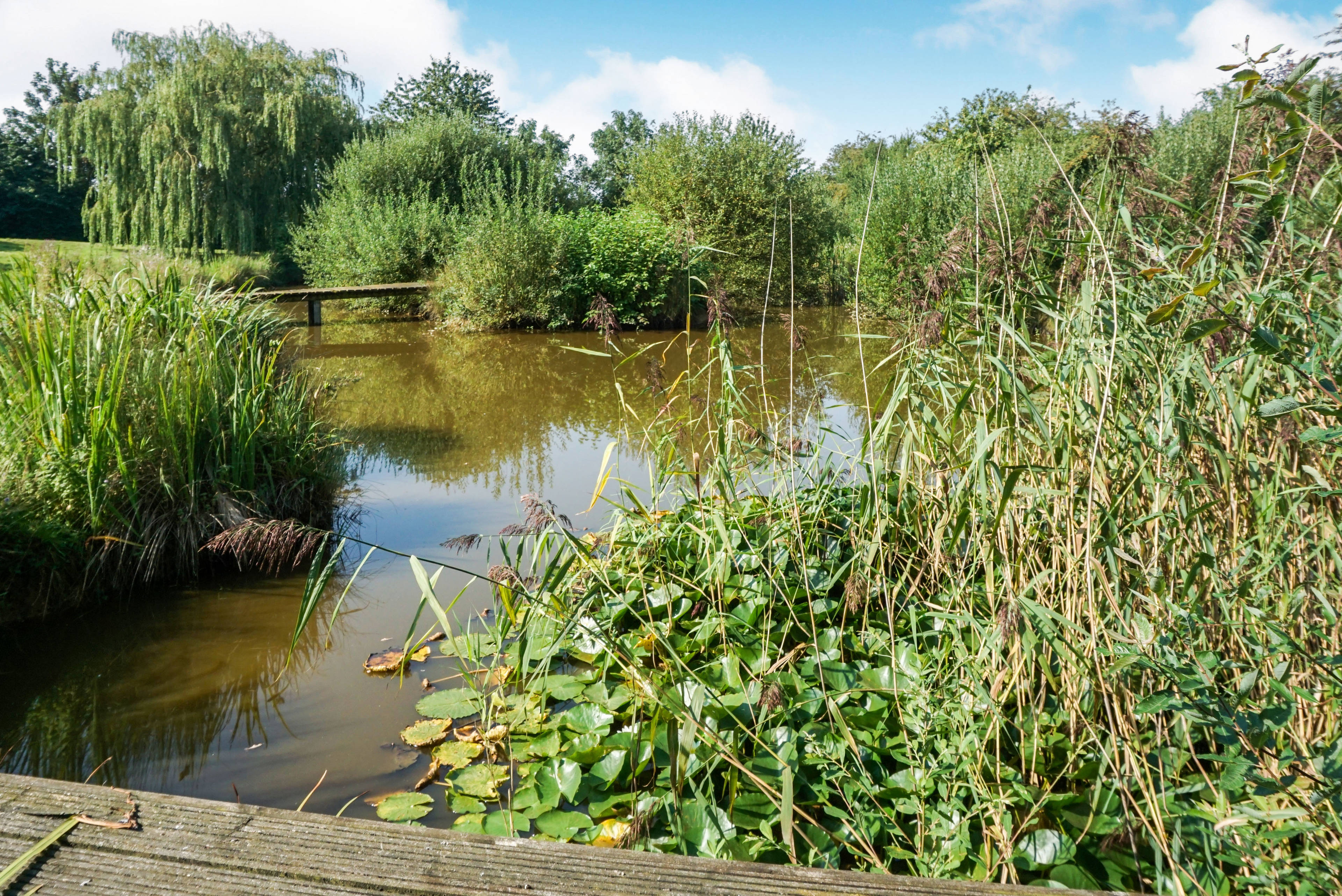 Fishing Lake