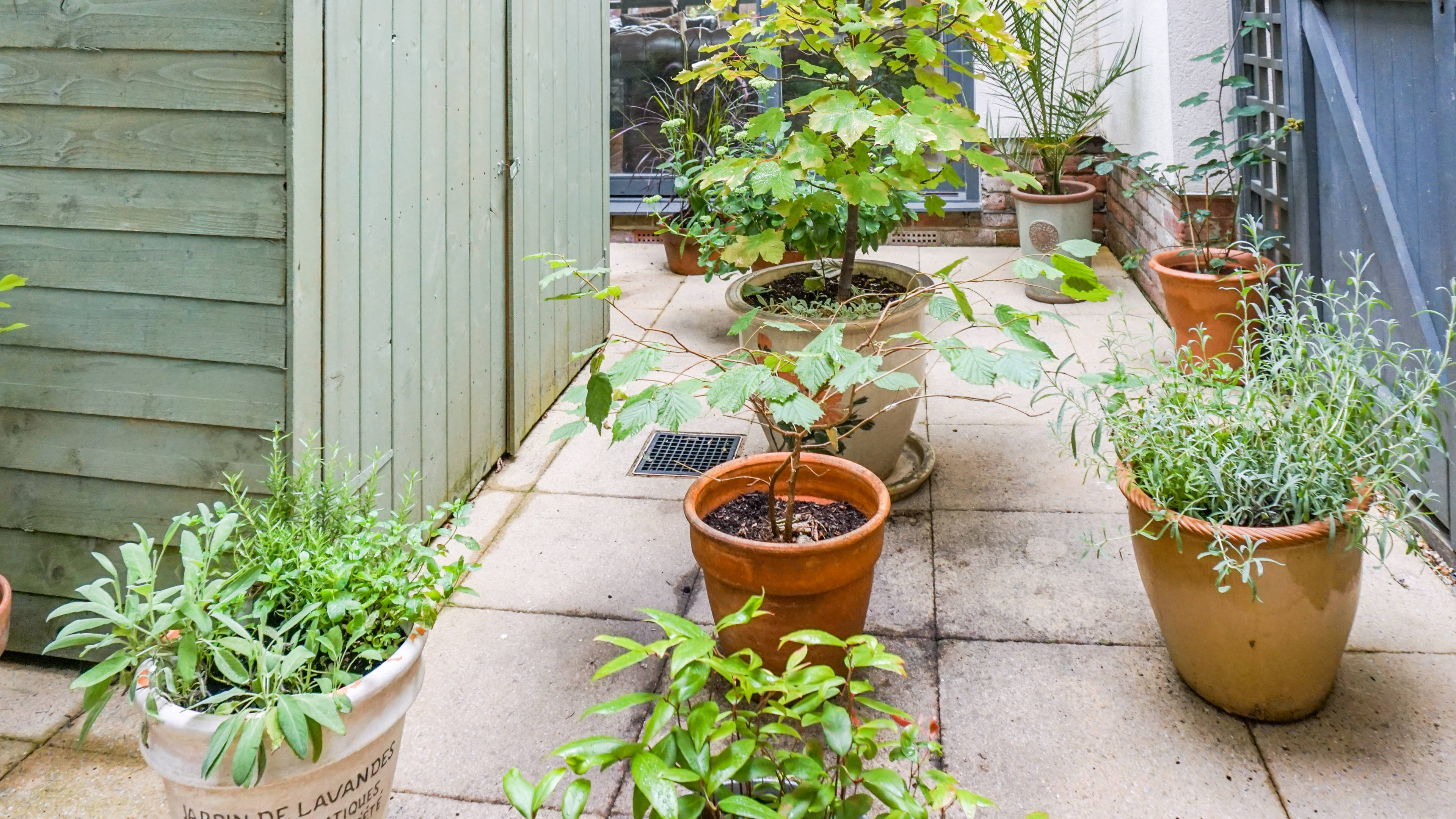 Courtyard