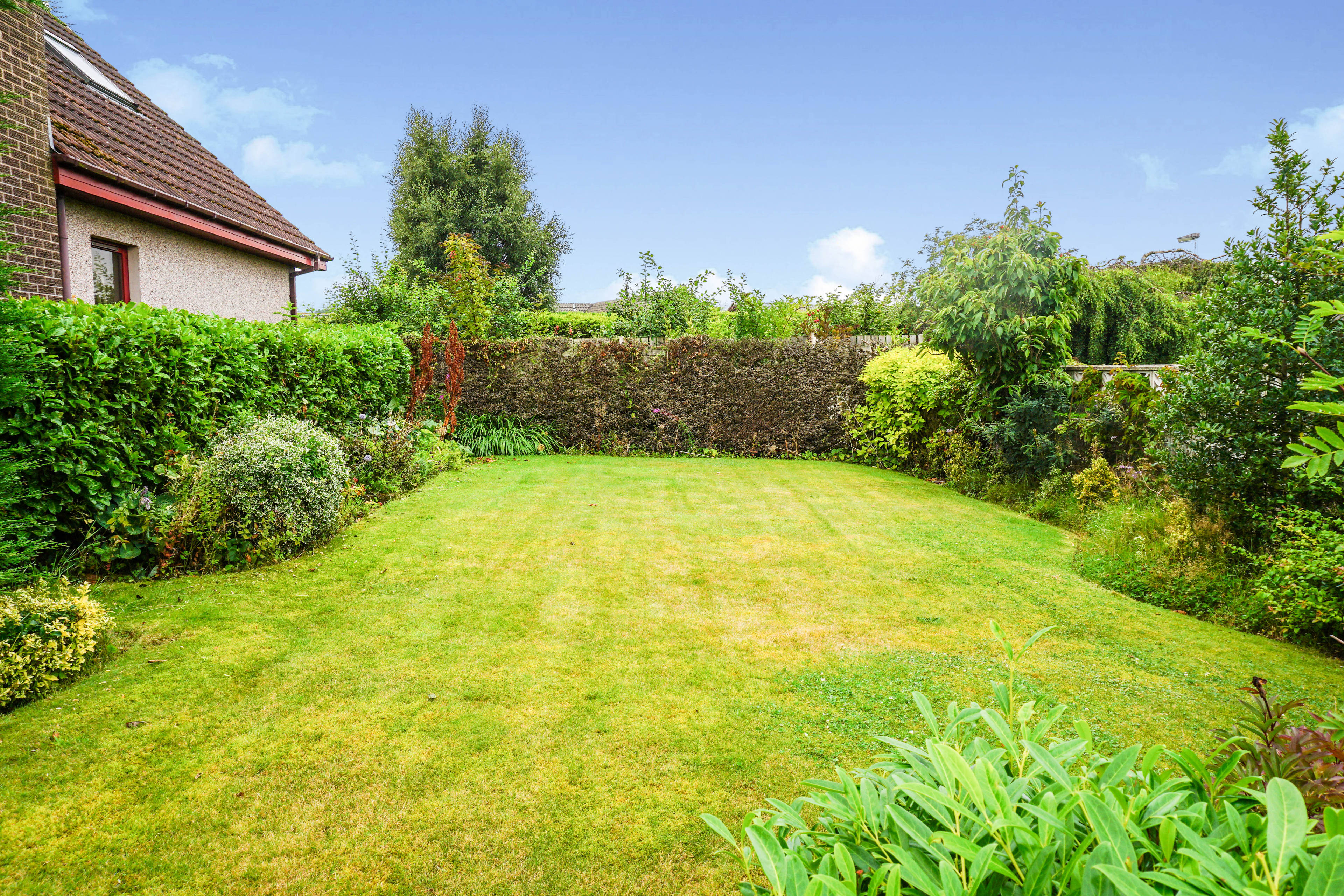 Side Garden