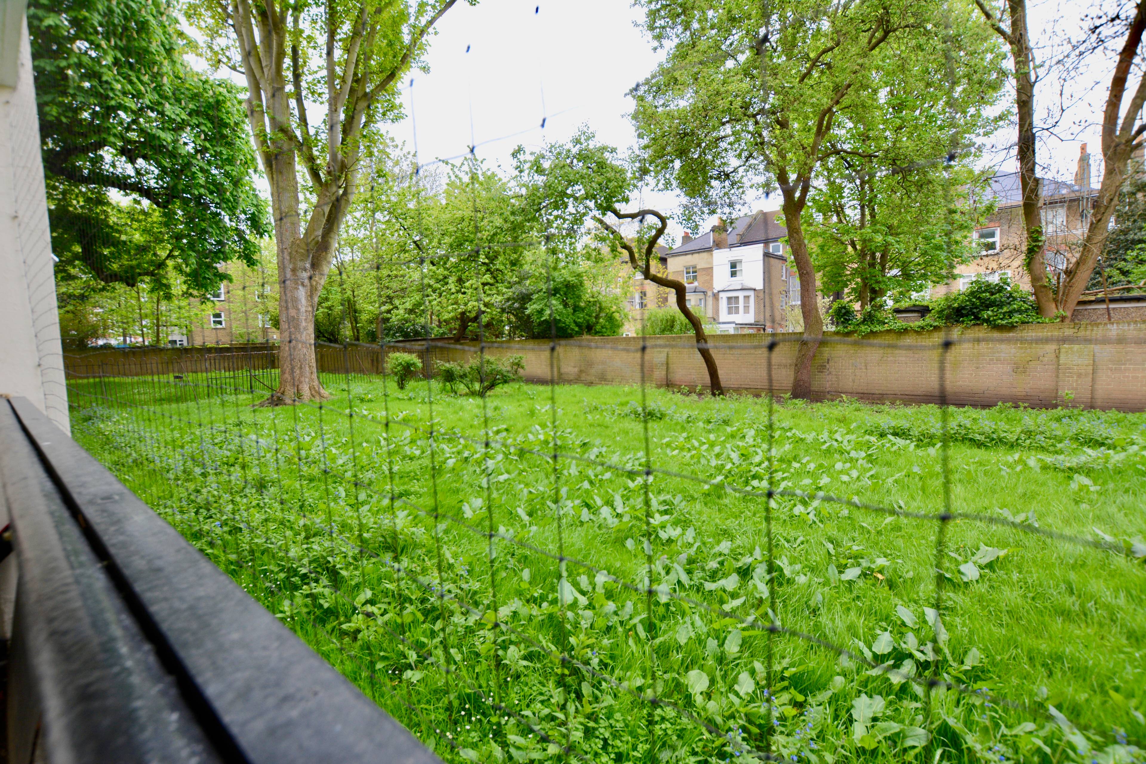 Communal Gardens