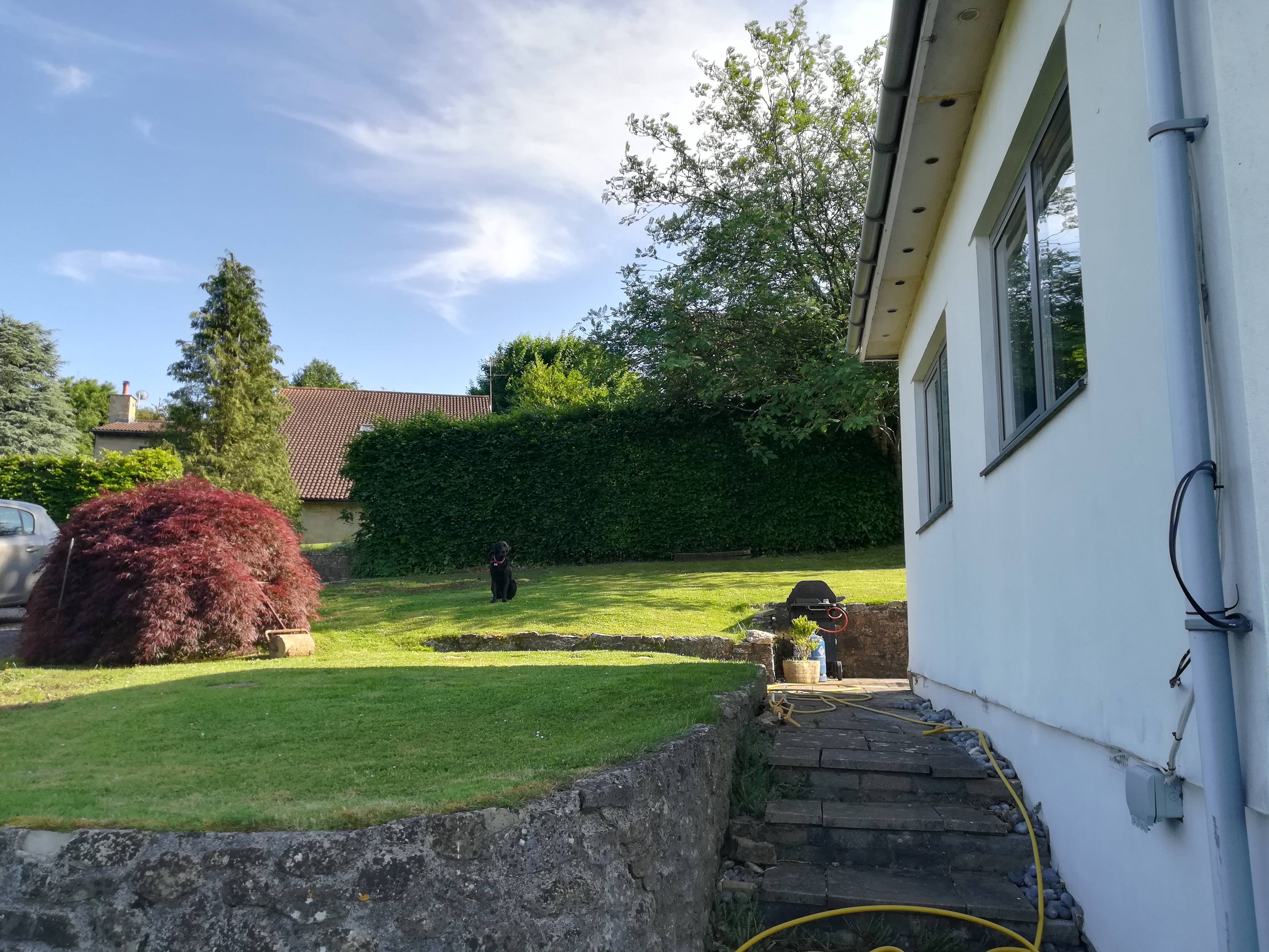 Mature Garden