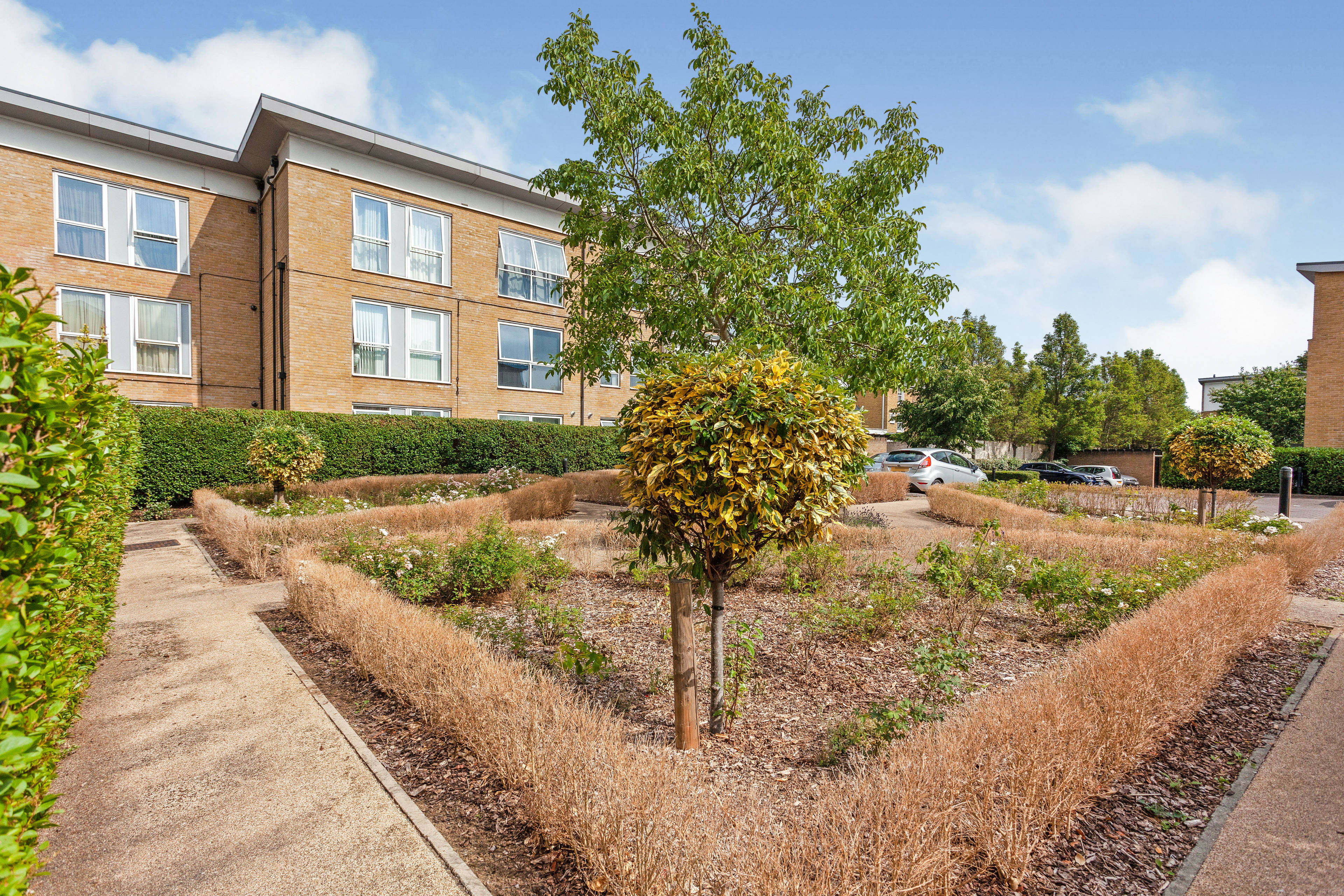 Communal Gardens