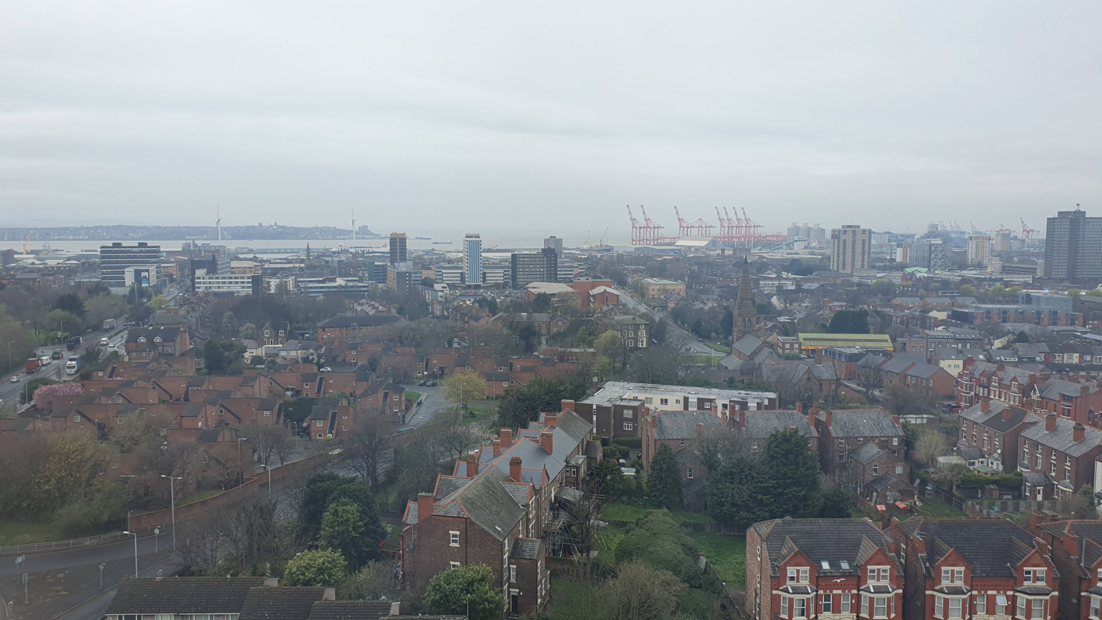 View