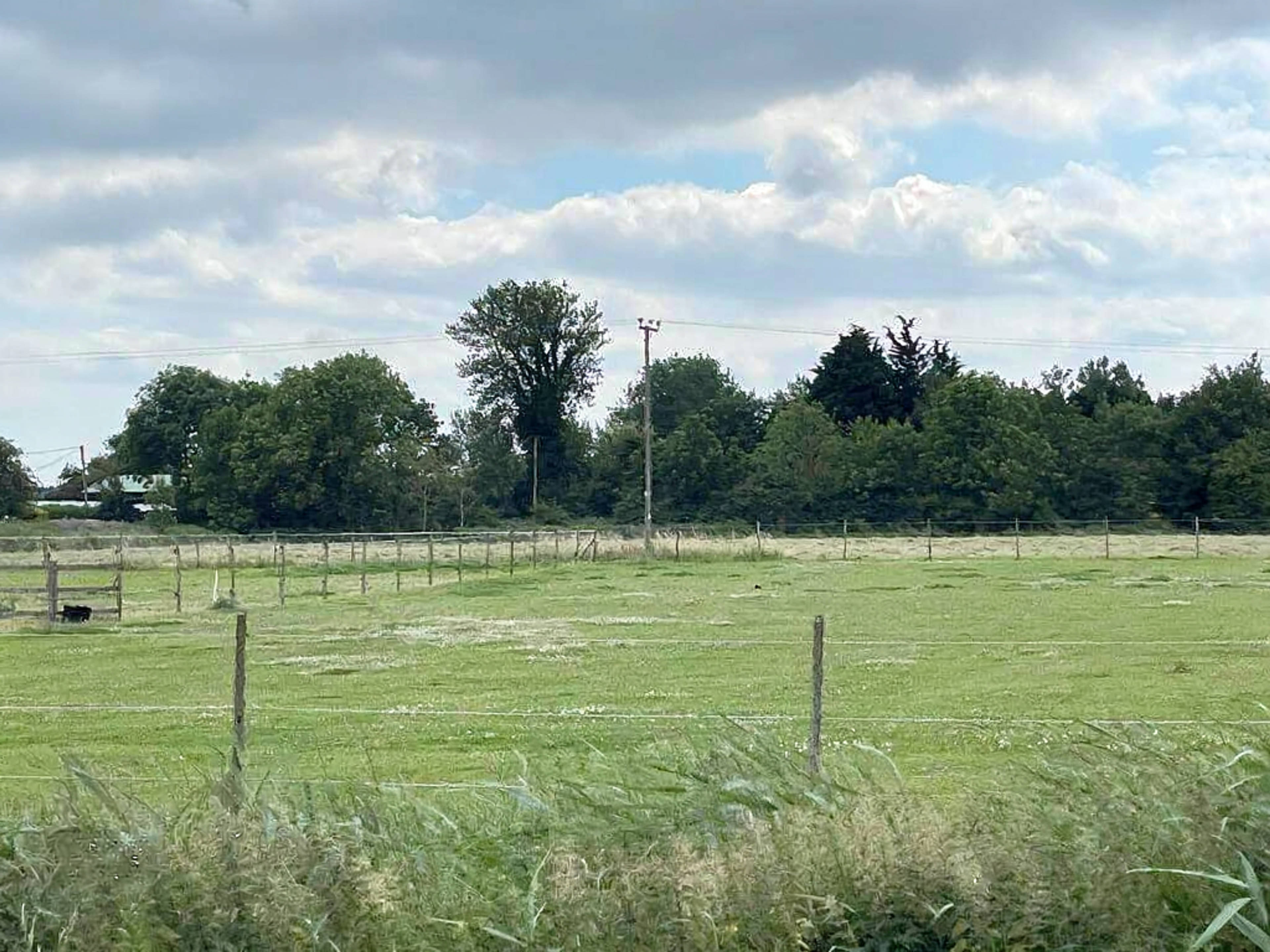 Land