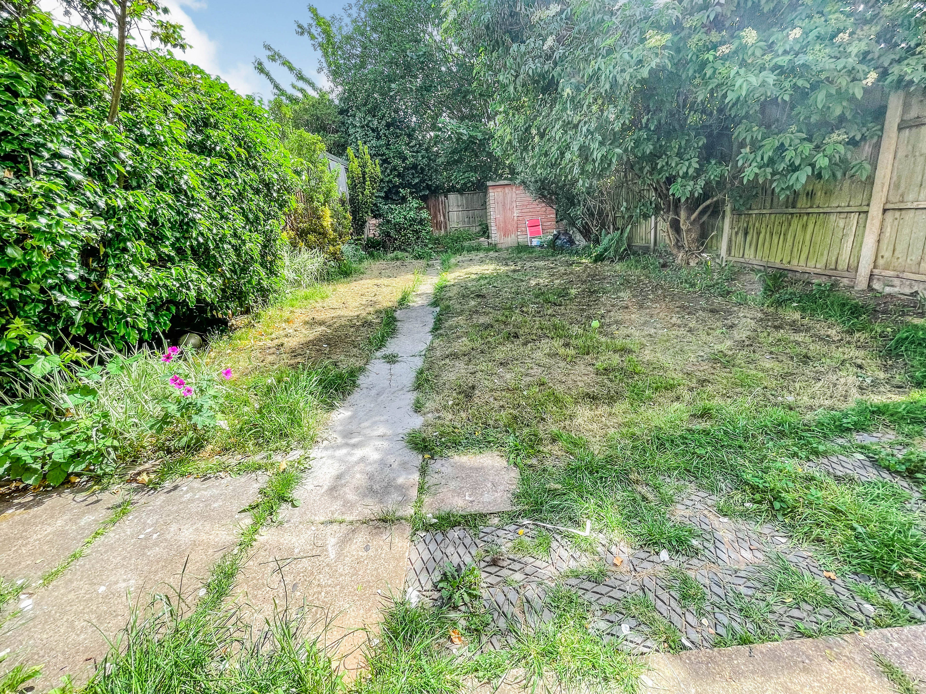 Garden