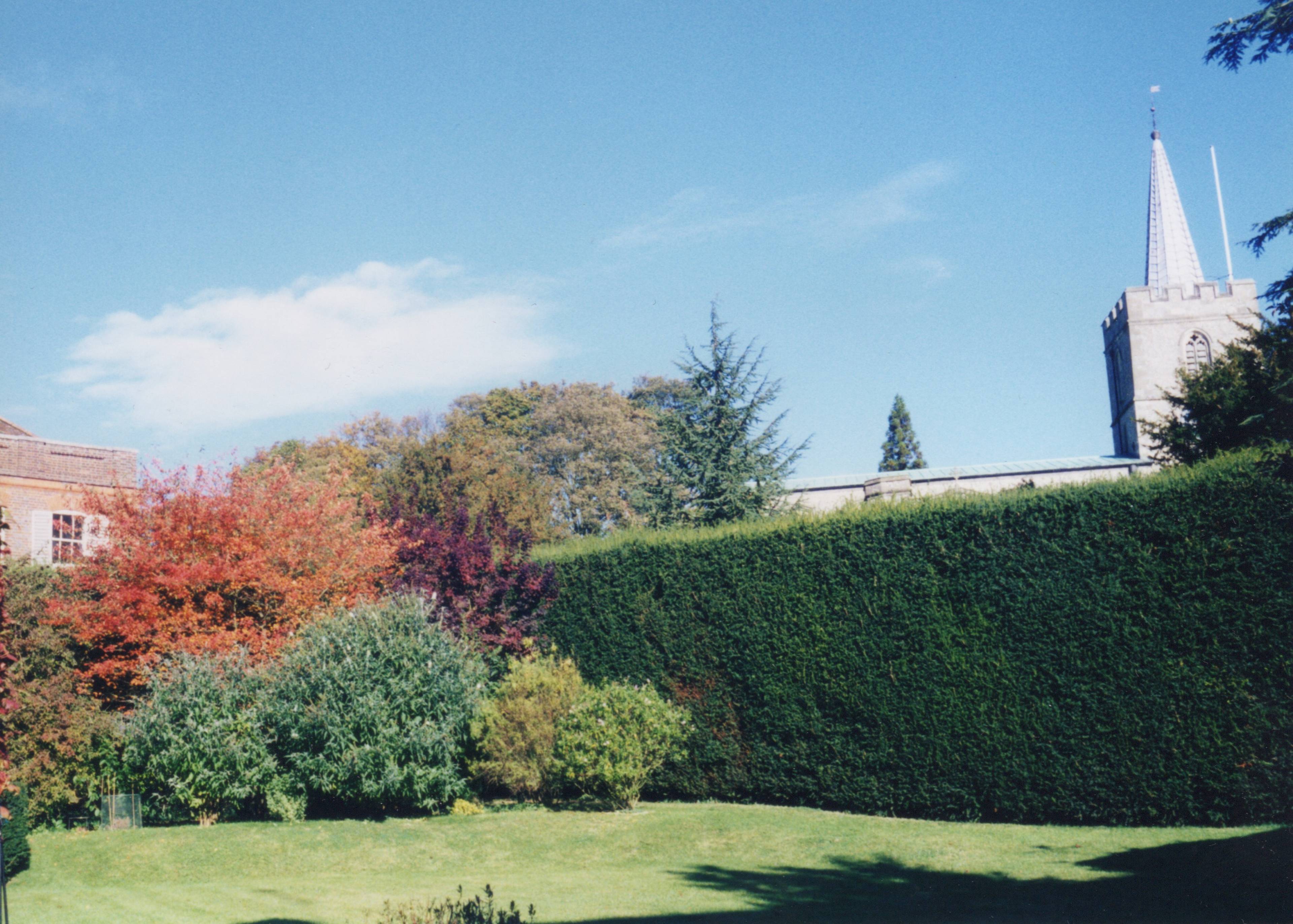Rear View