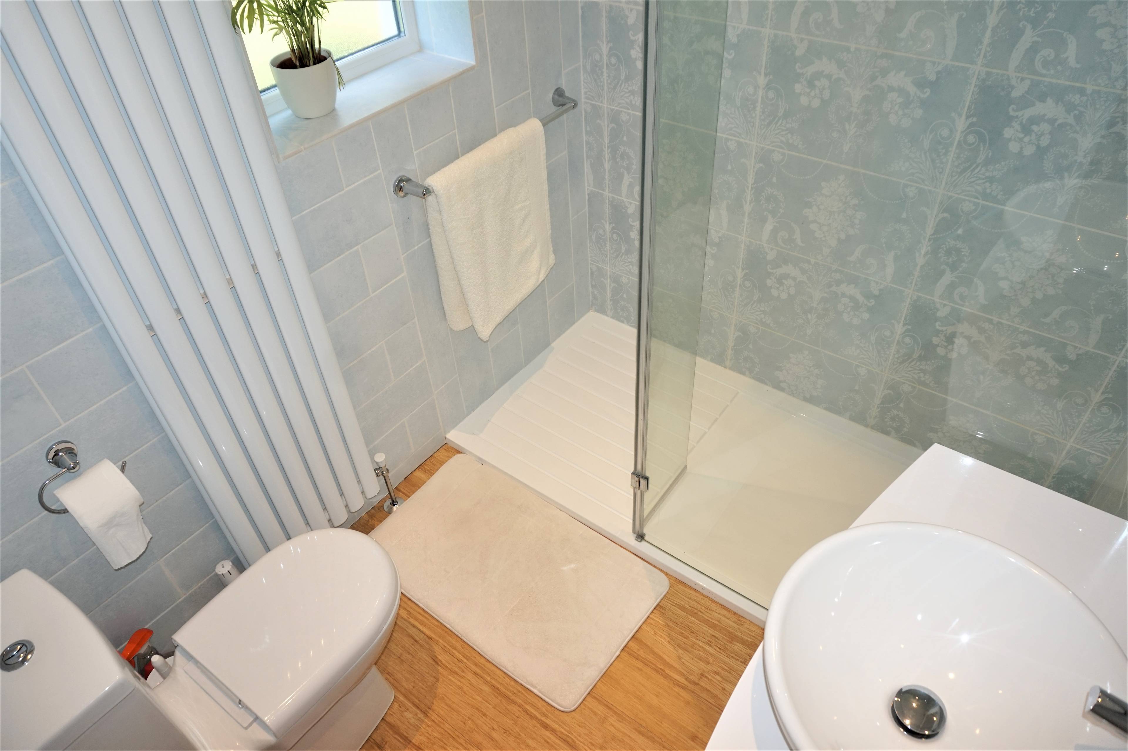 Annexe Shower Room