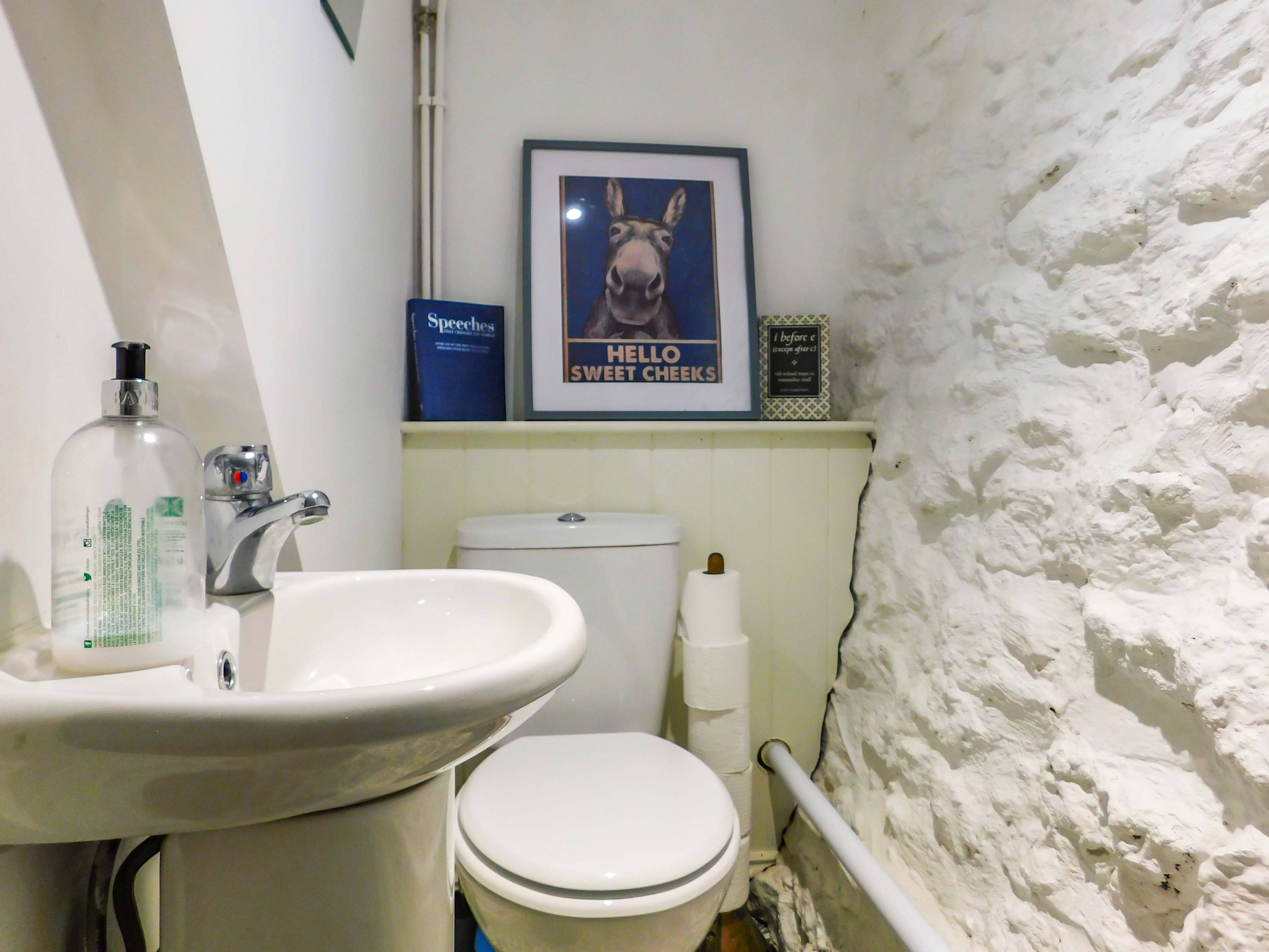 Downstairs Cloakroom