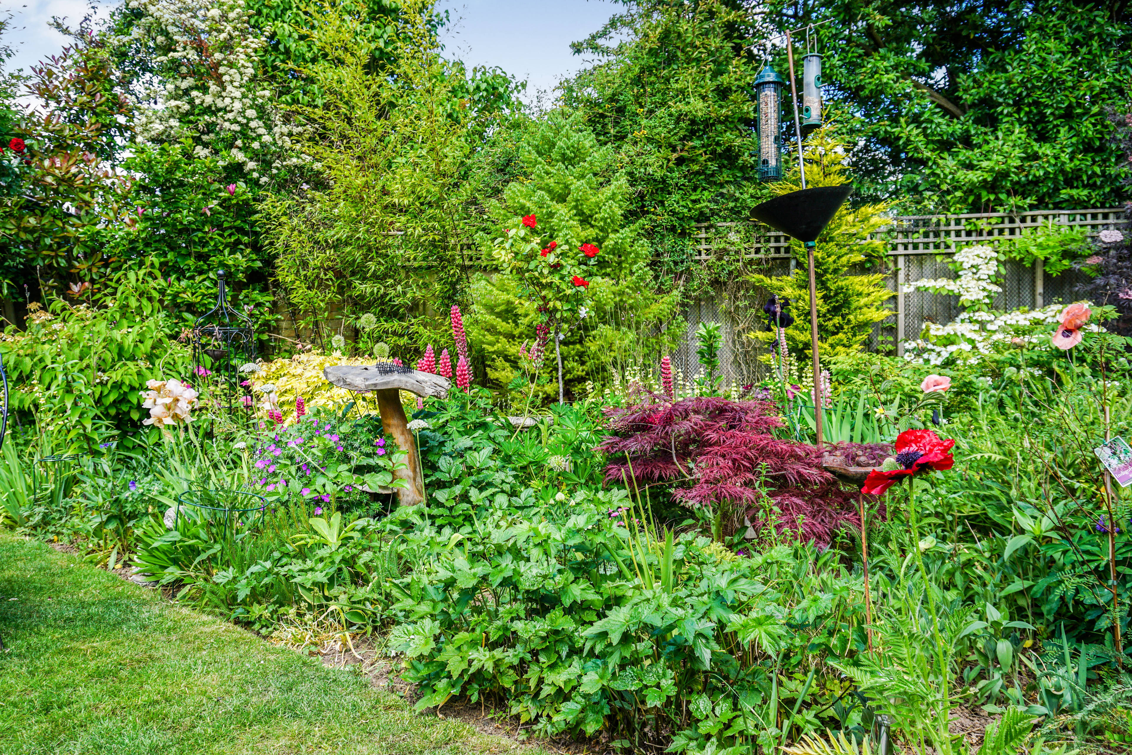 Garden