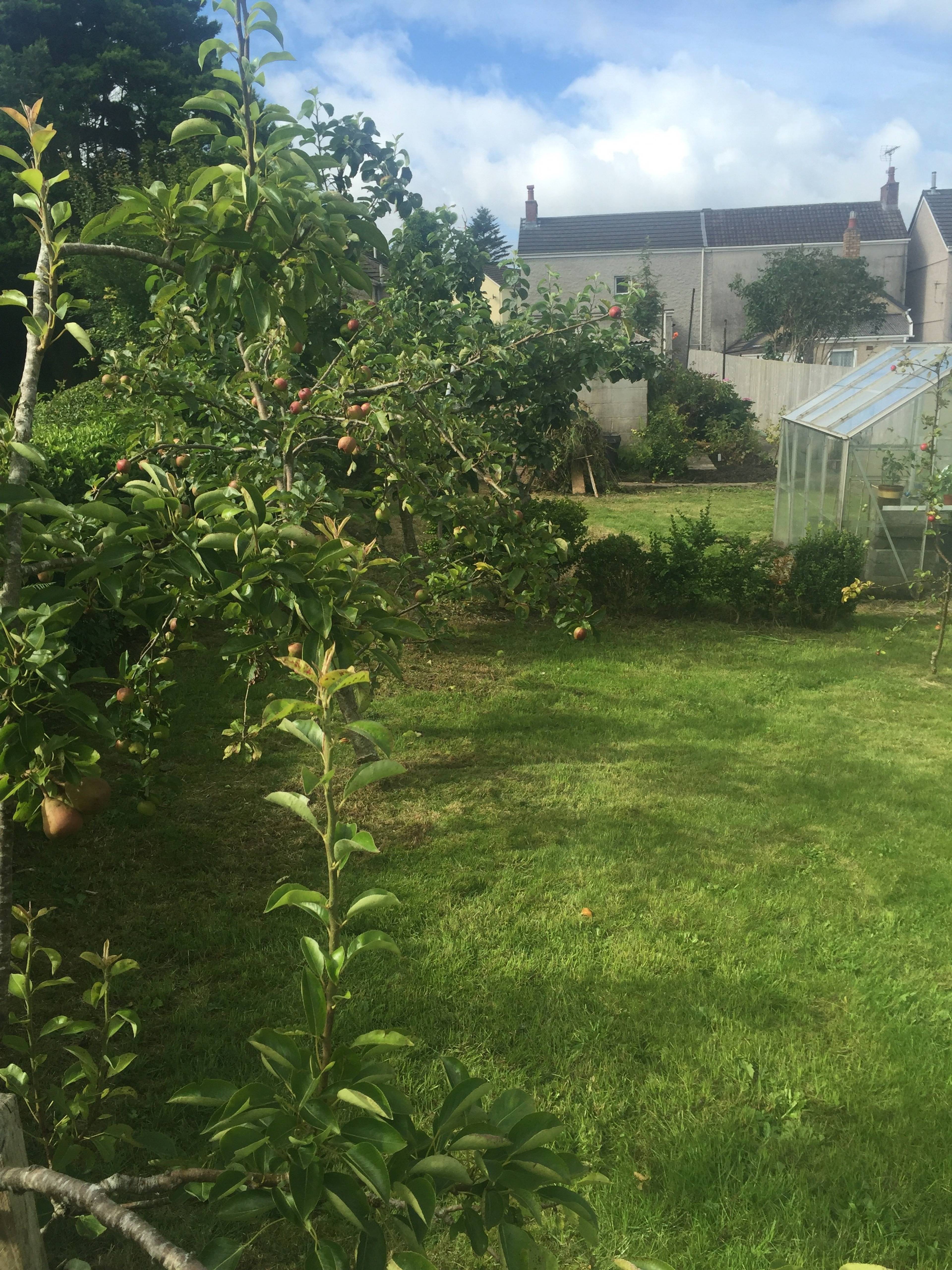 Large Garden
