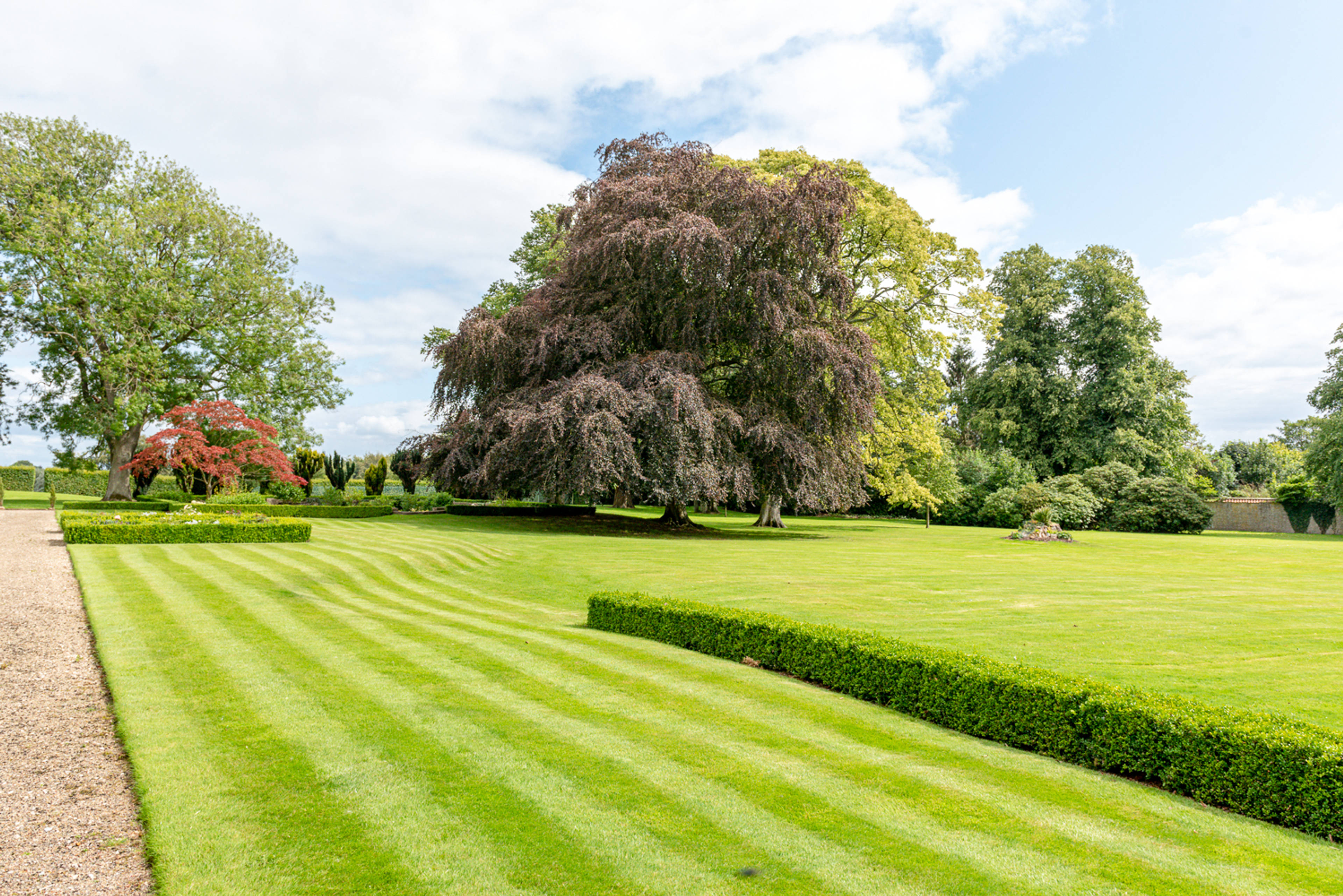 Grounds