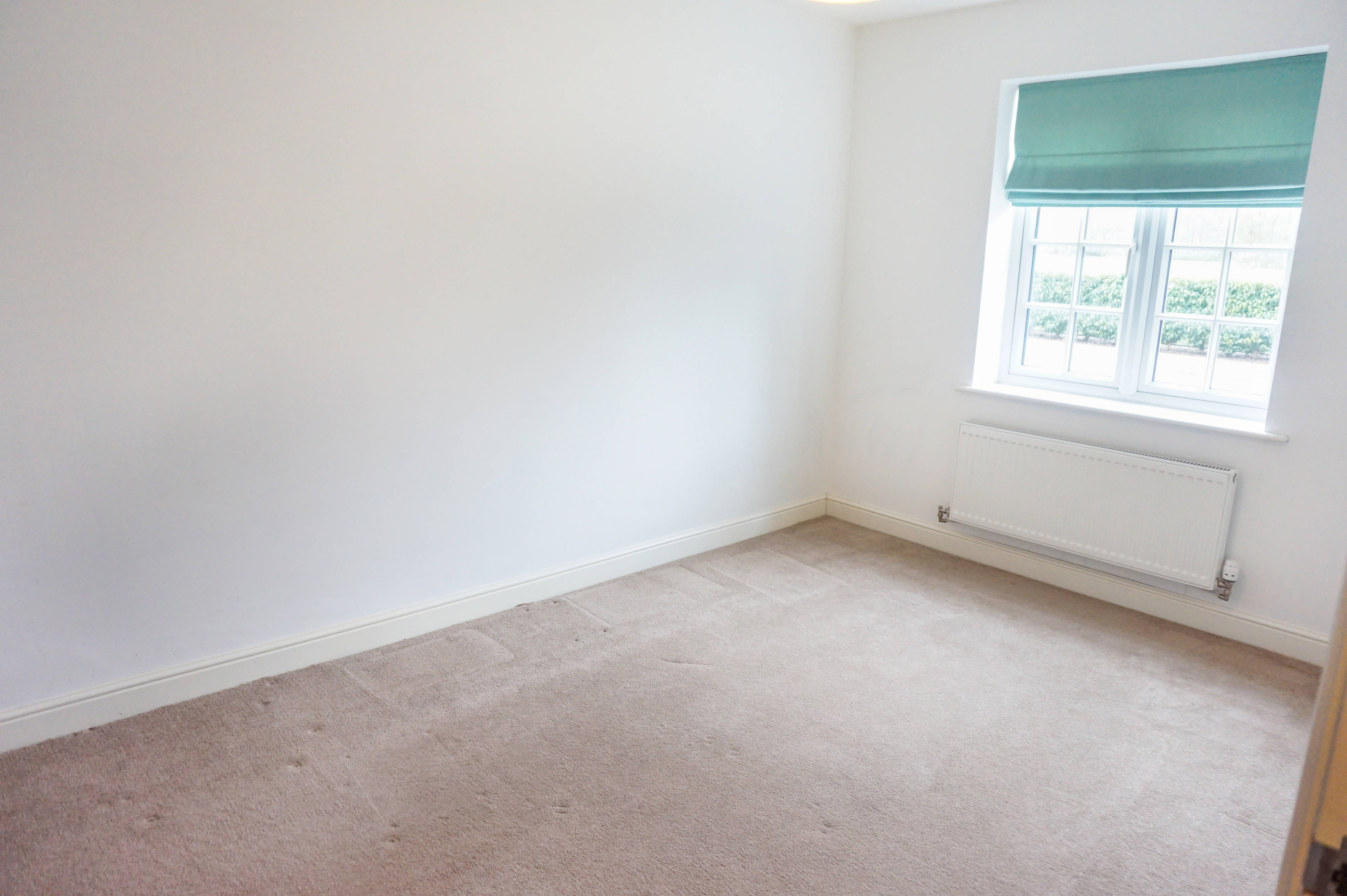 Dining / Family Room