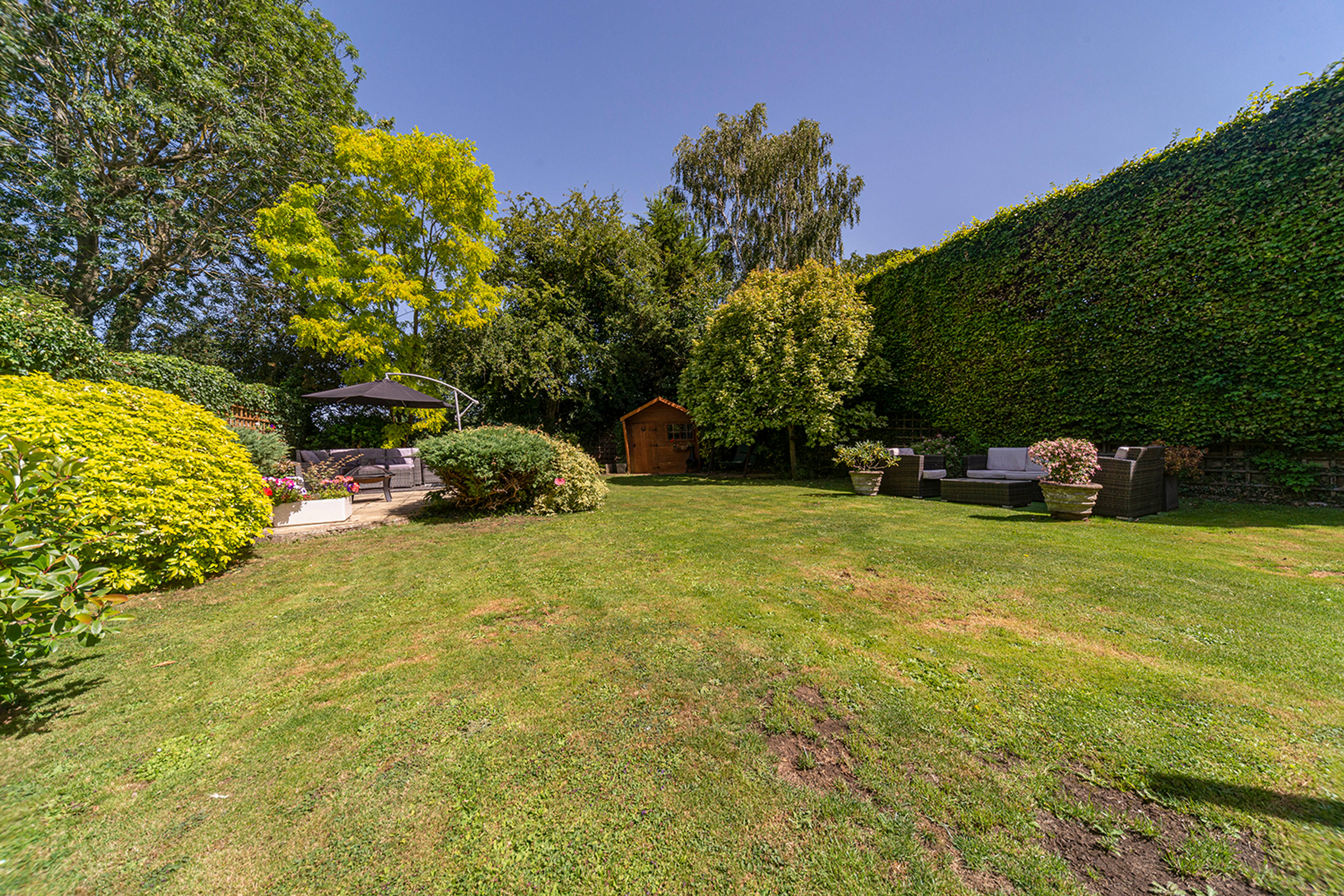 Large Garden
