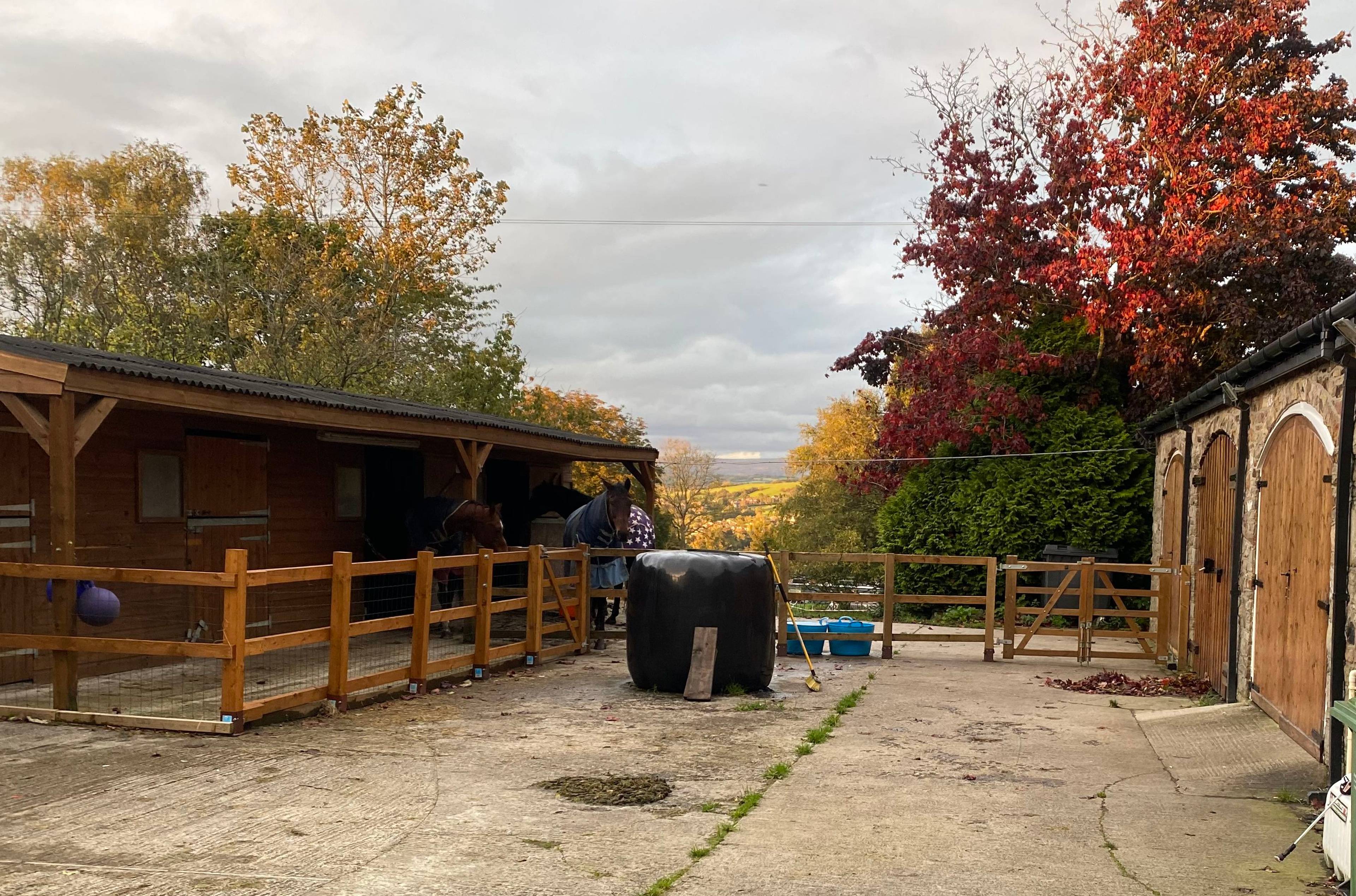 Stables