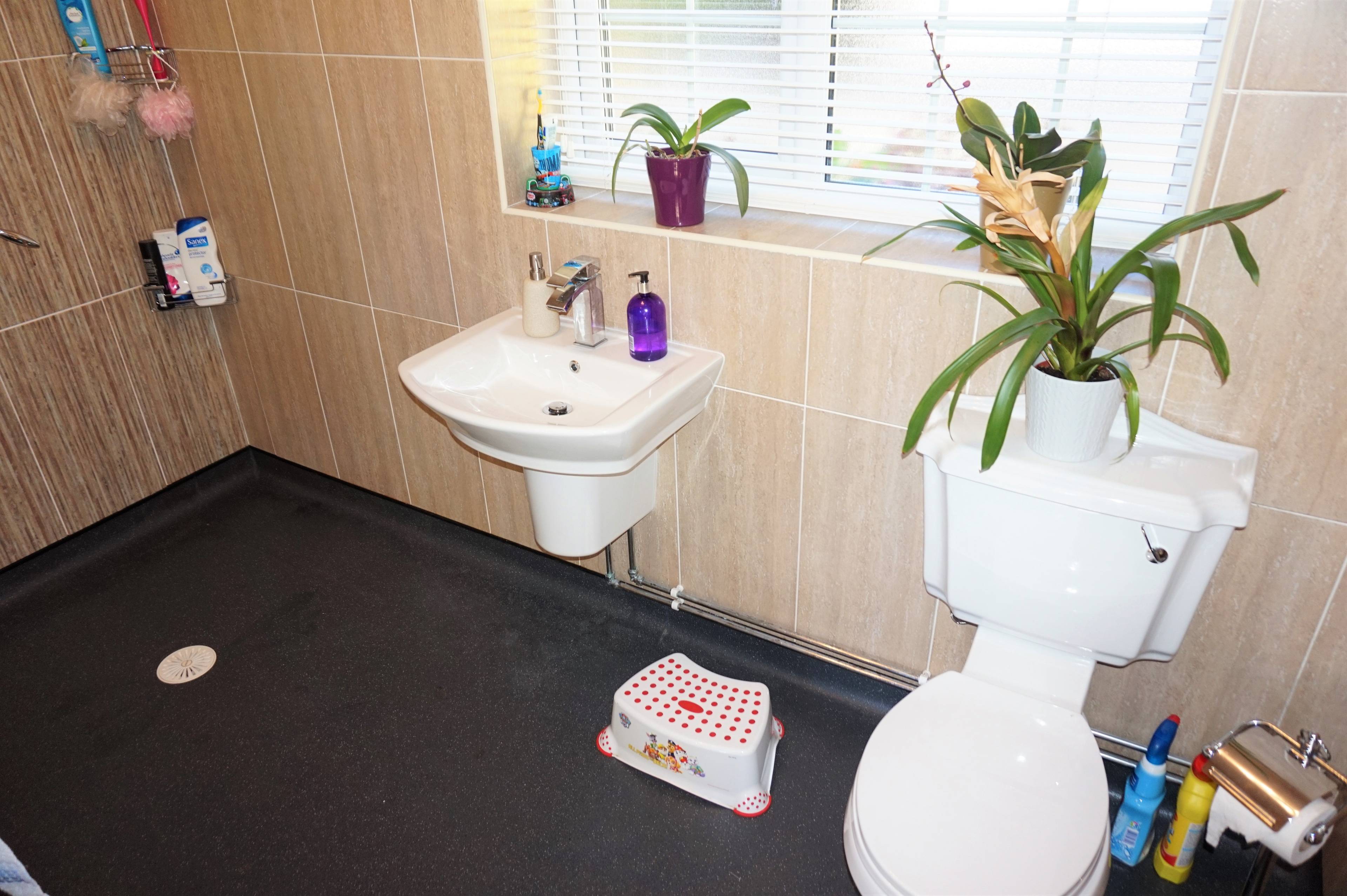 Annexe Shower Room