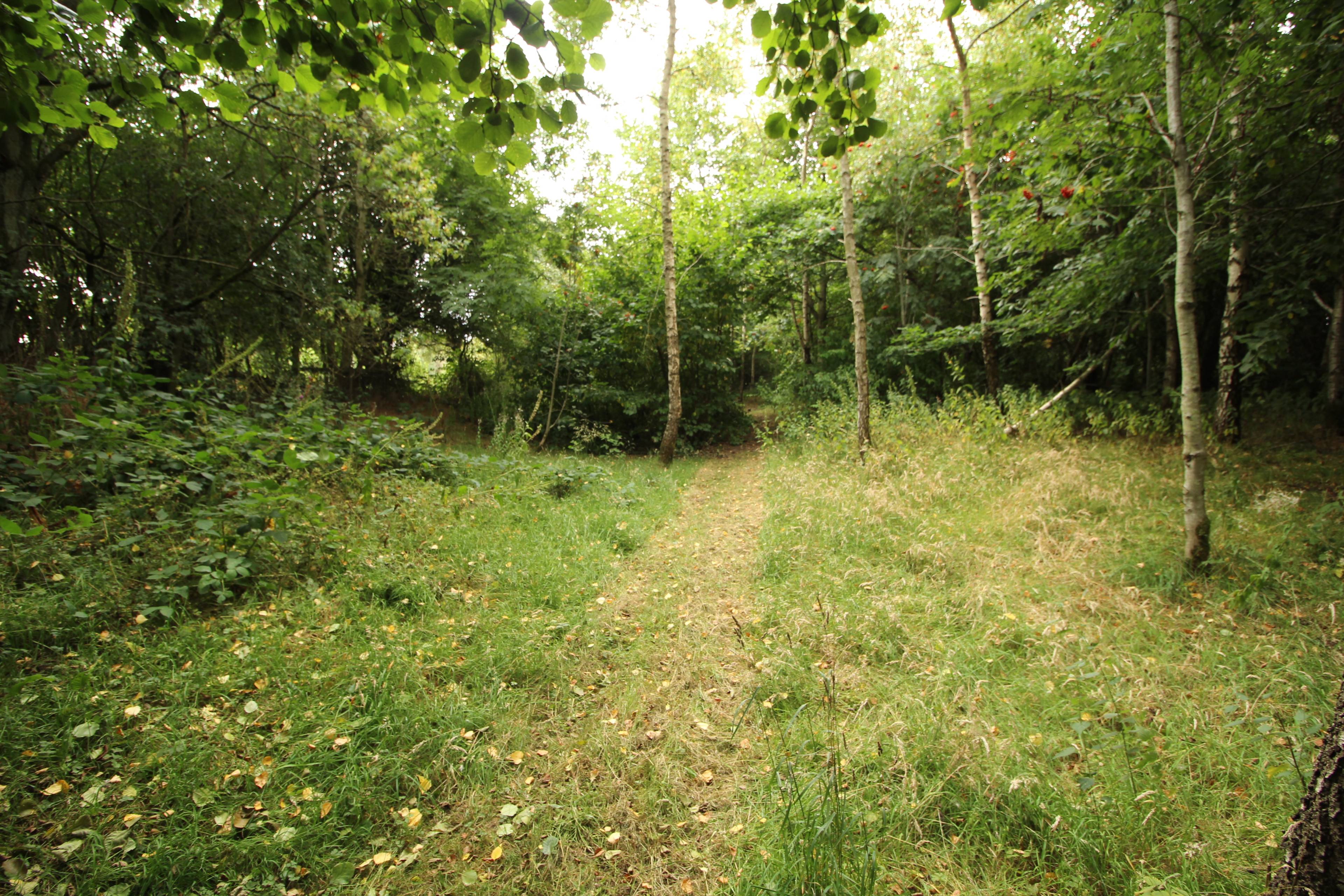 Grounds