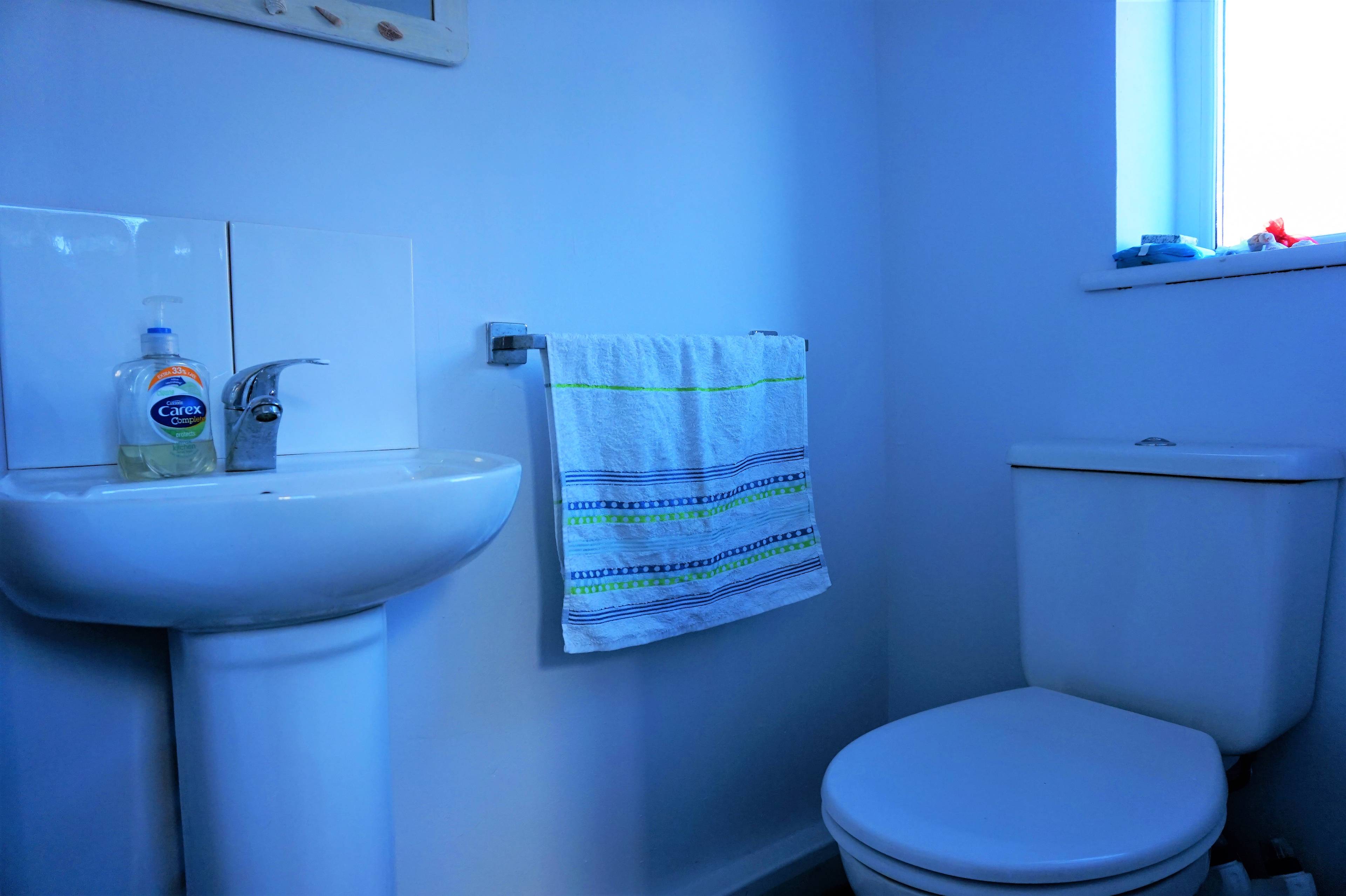 Downstairs Cloakroom