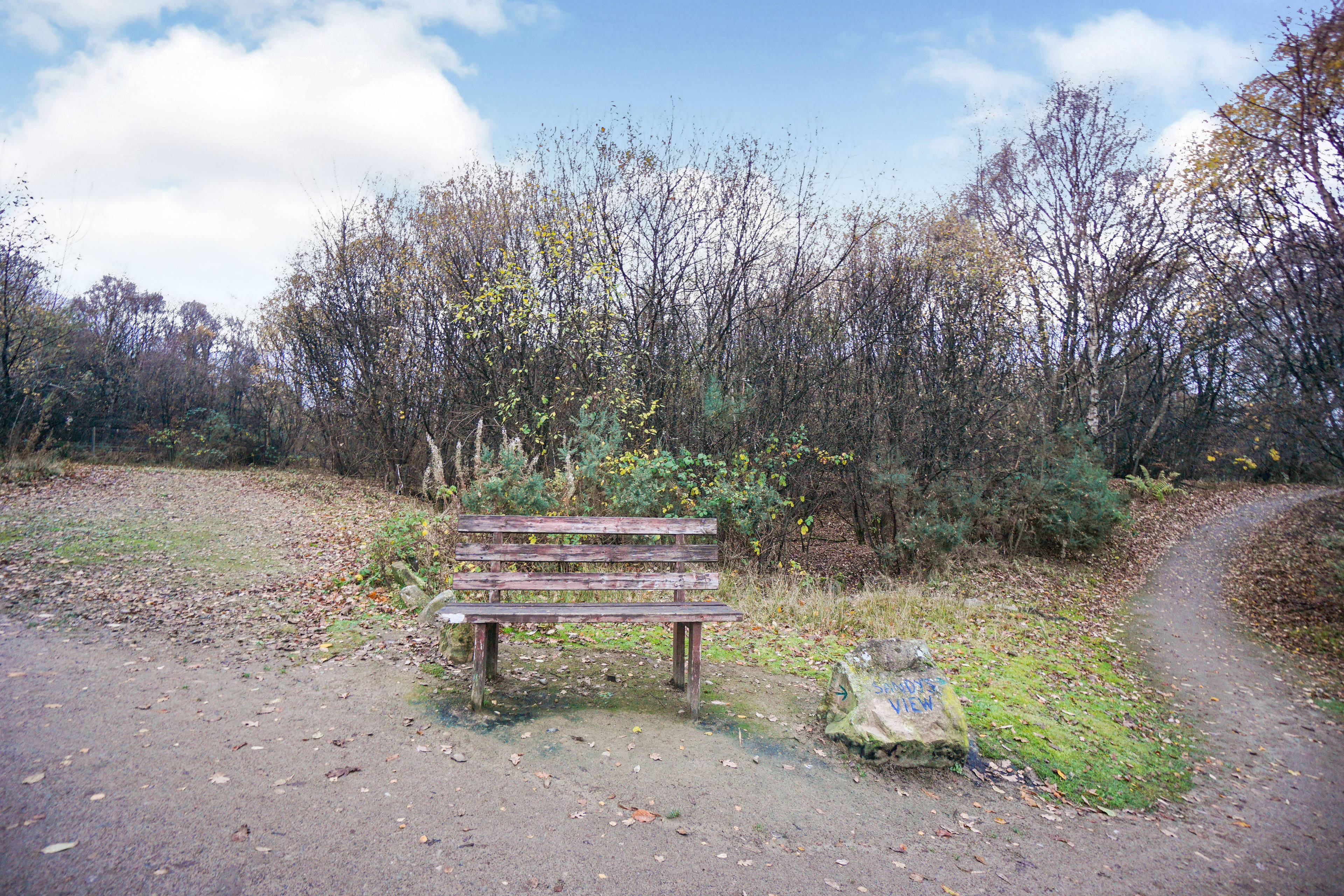 Local Area