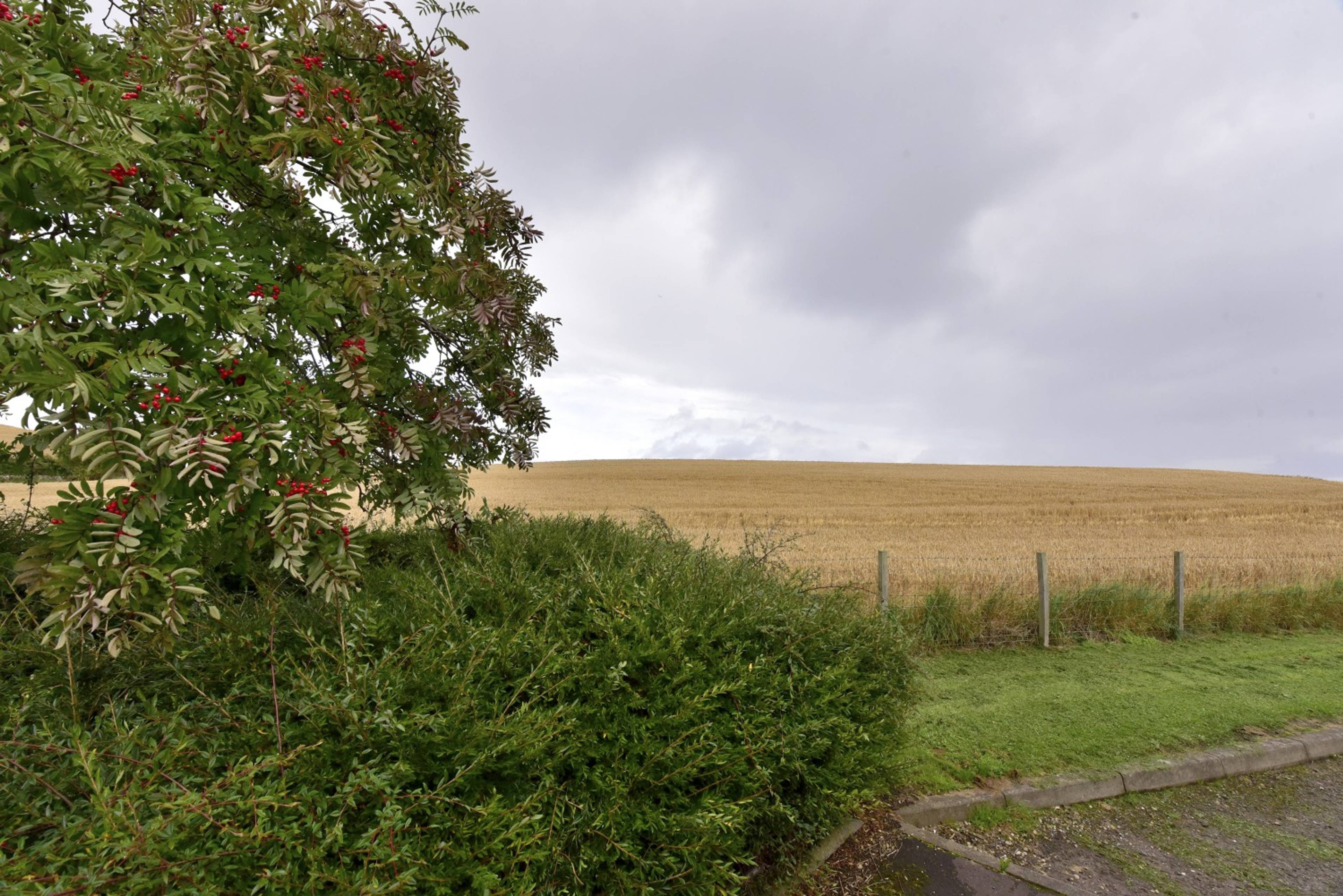 Local Area