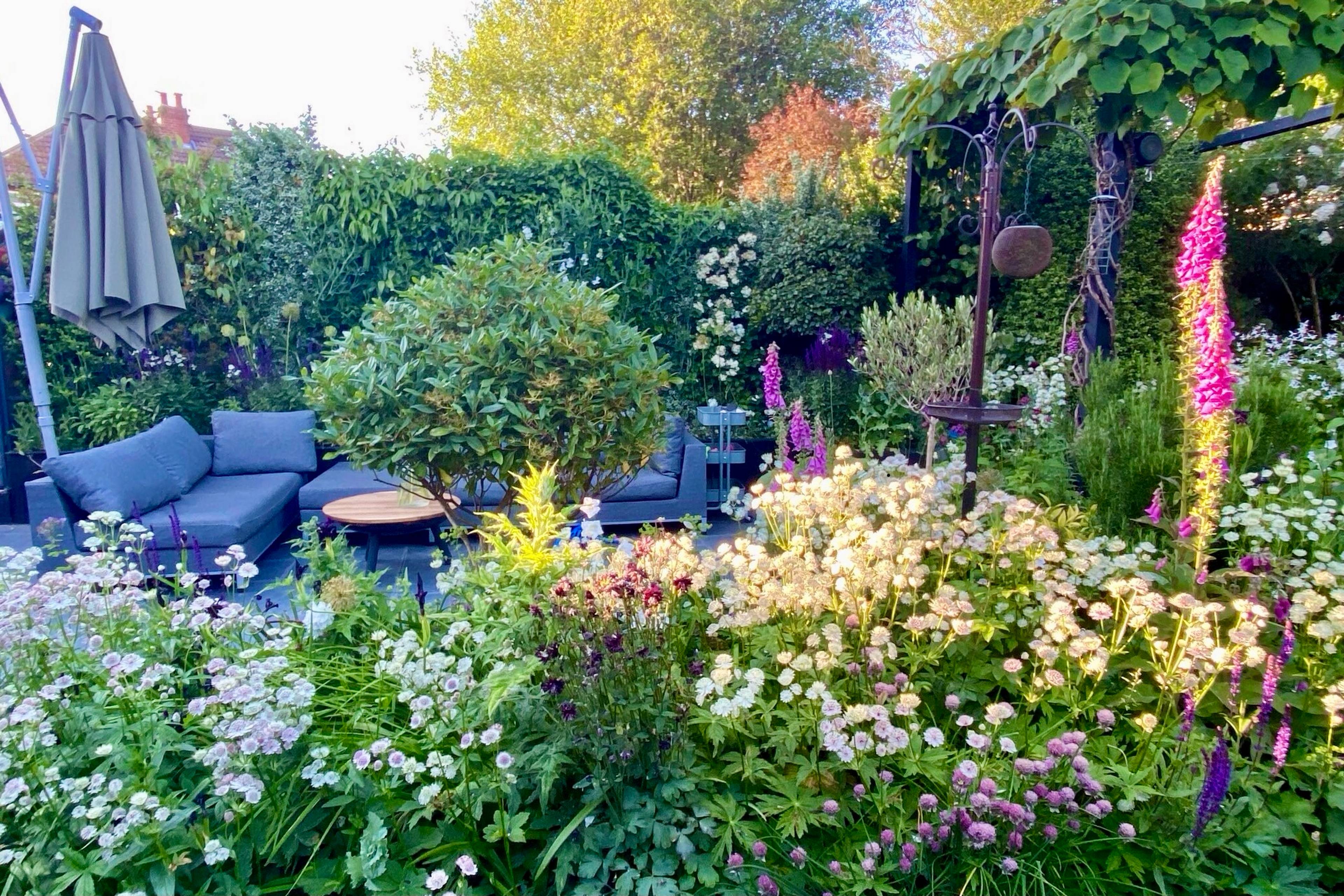 Cottage Garden