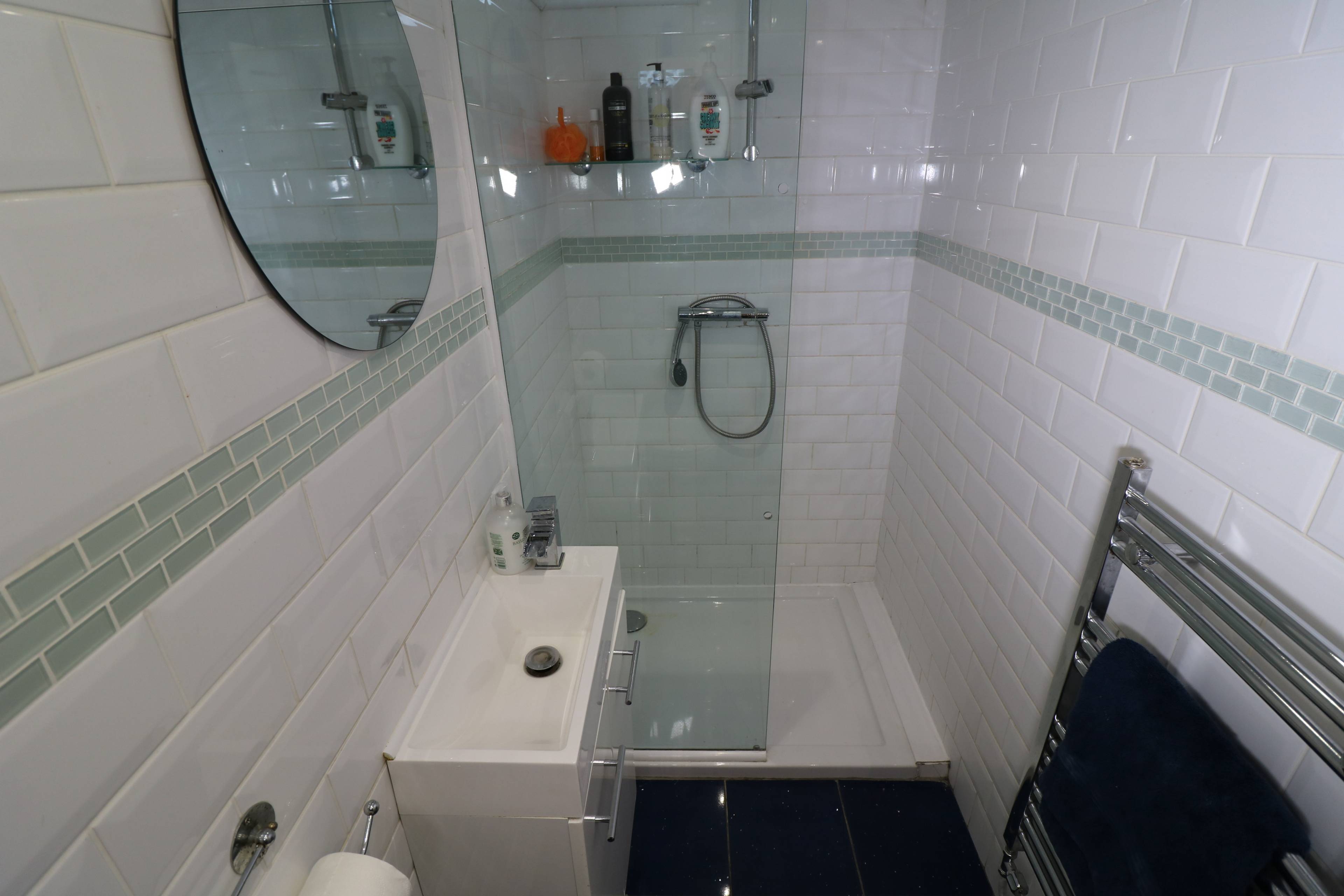Downstairs Shower