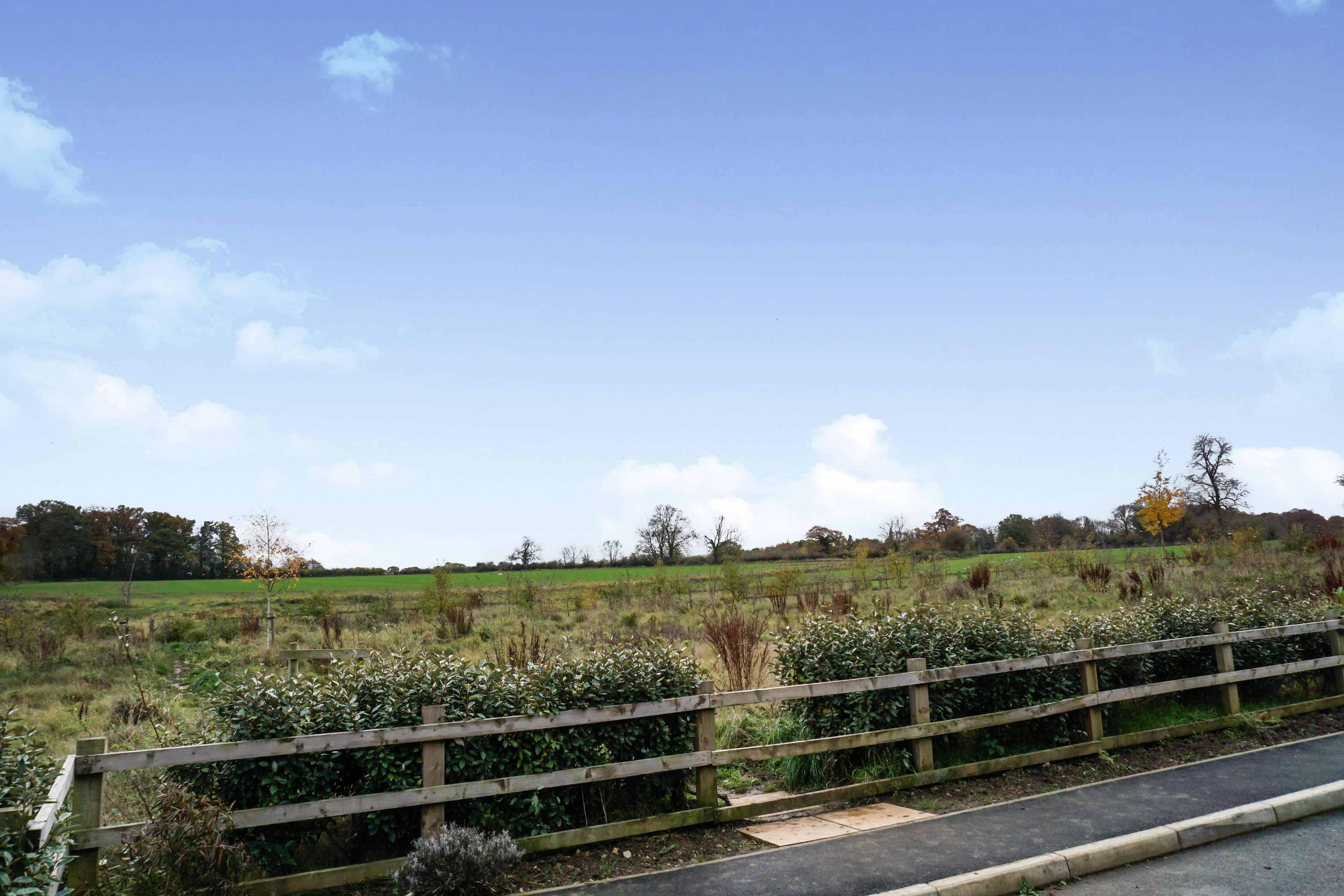 Field