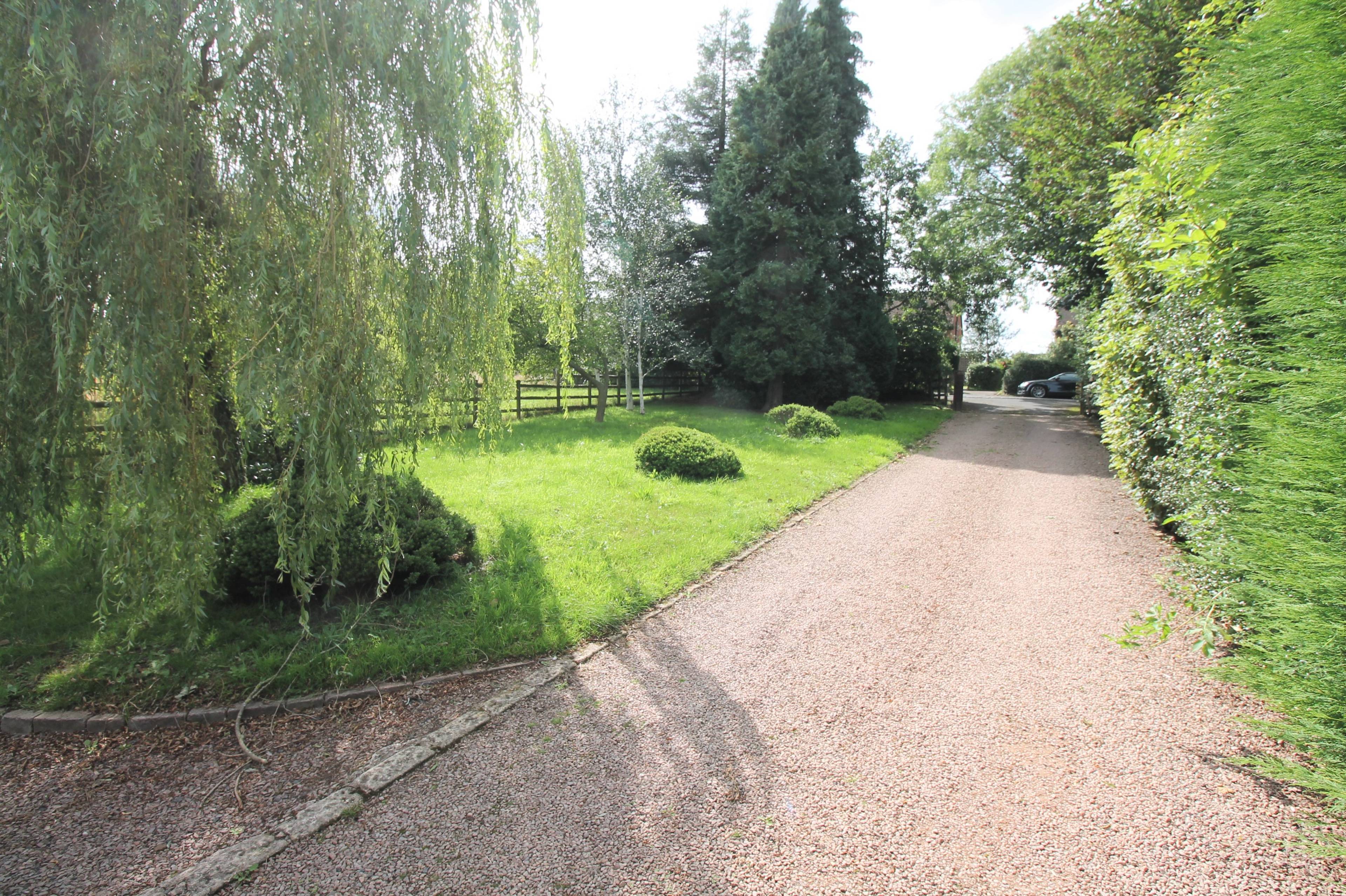 Driveway