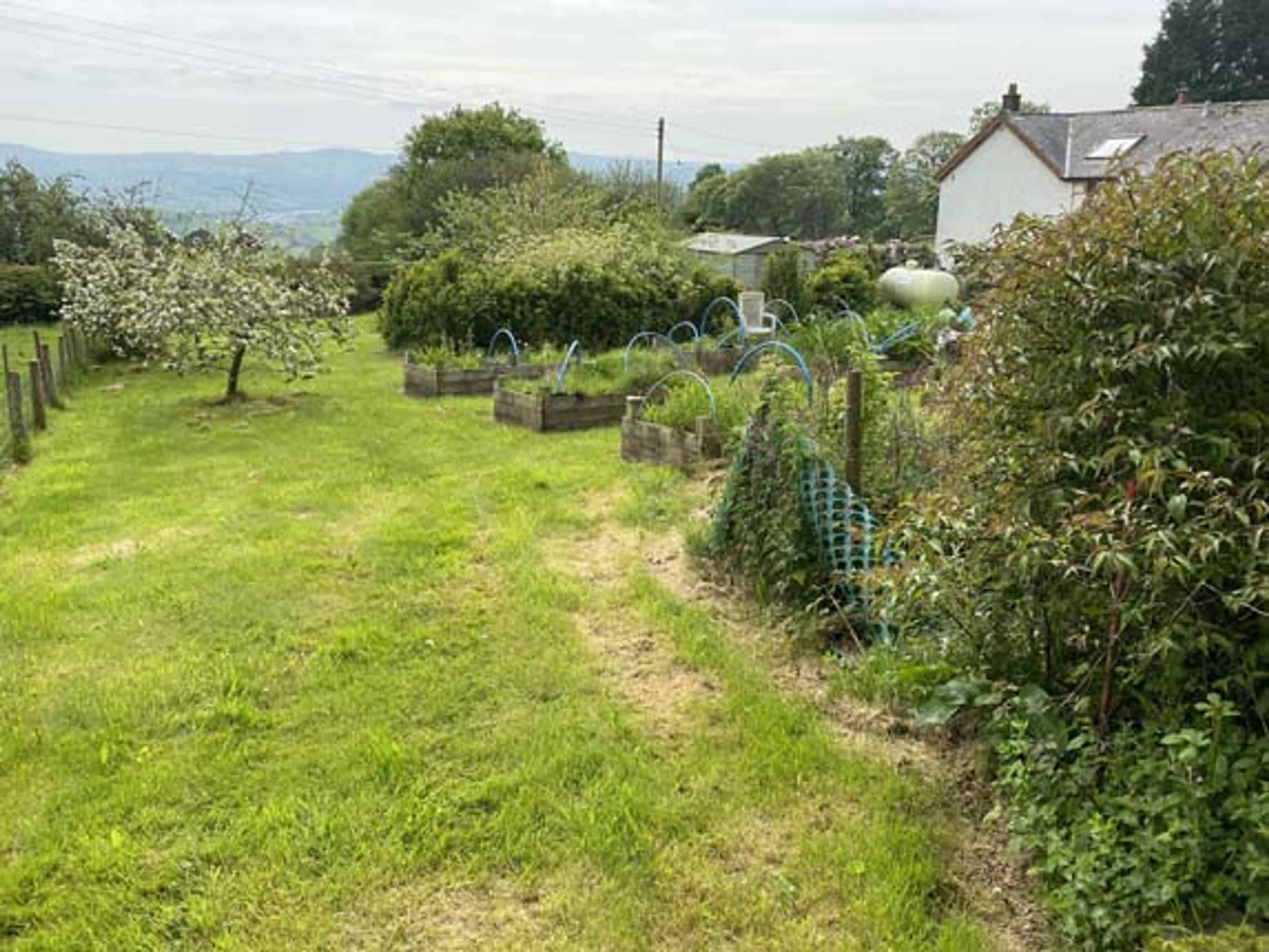 Cottage Garden