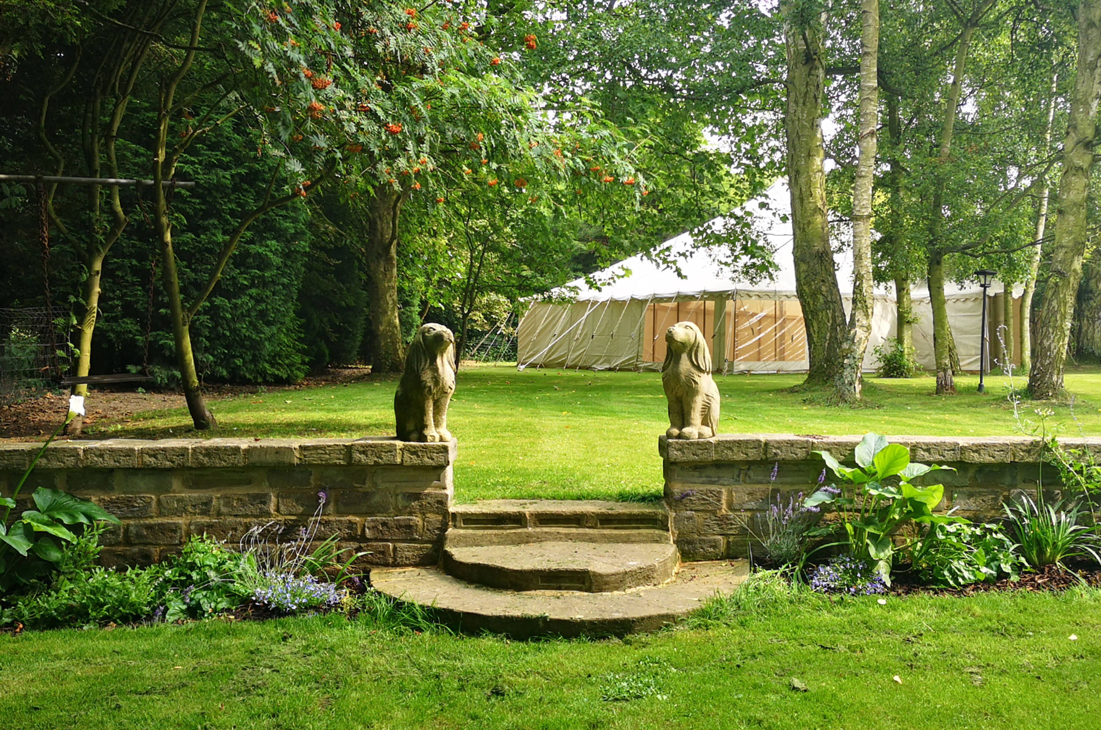 Mature Garden