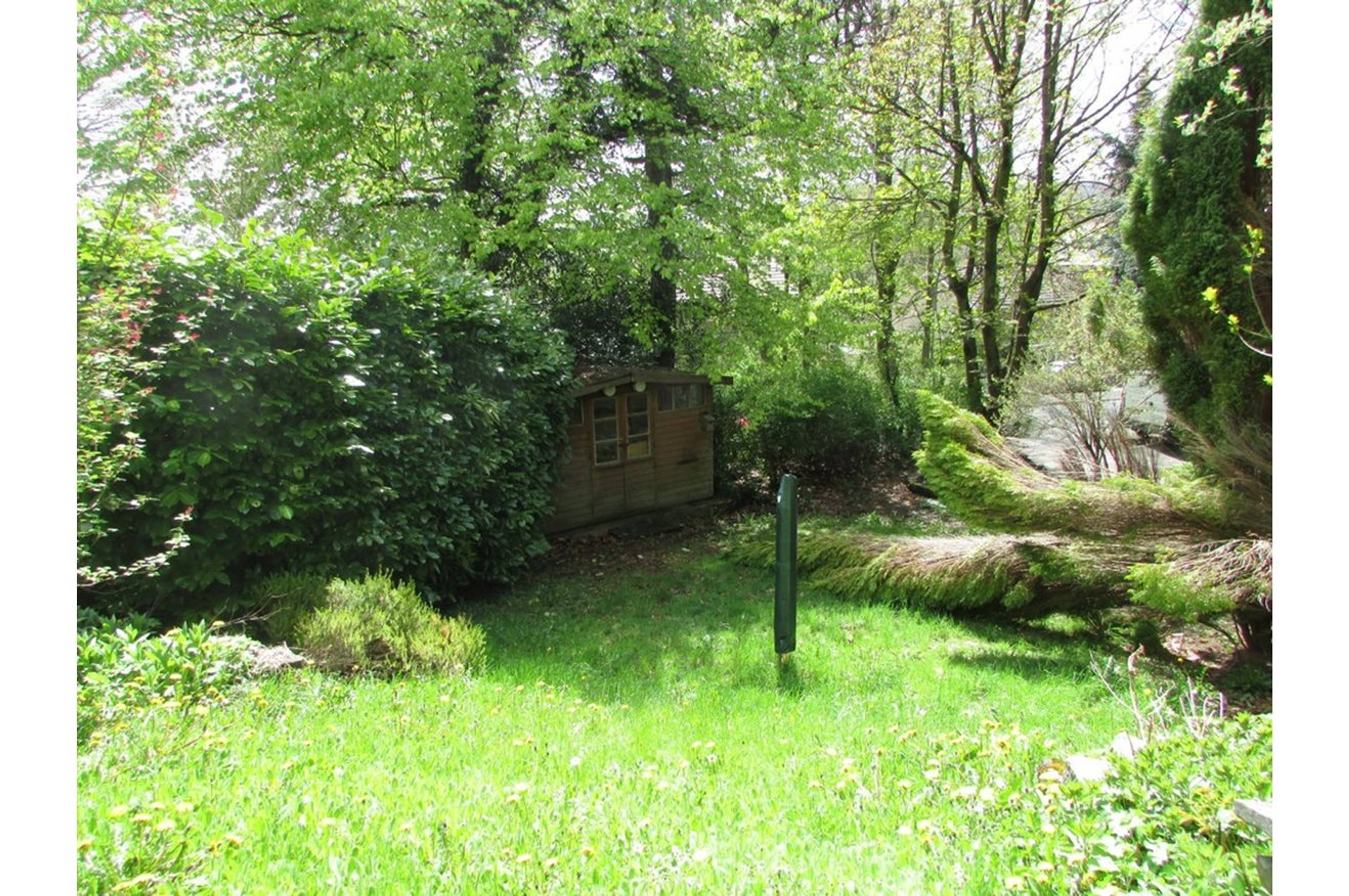 Surrounding Area