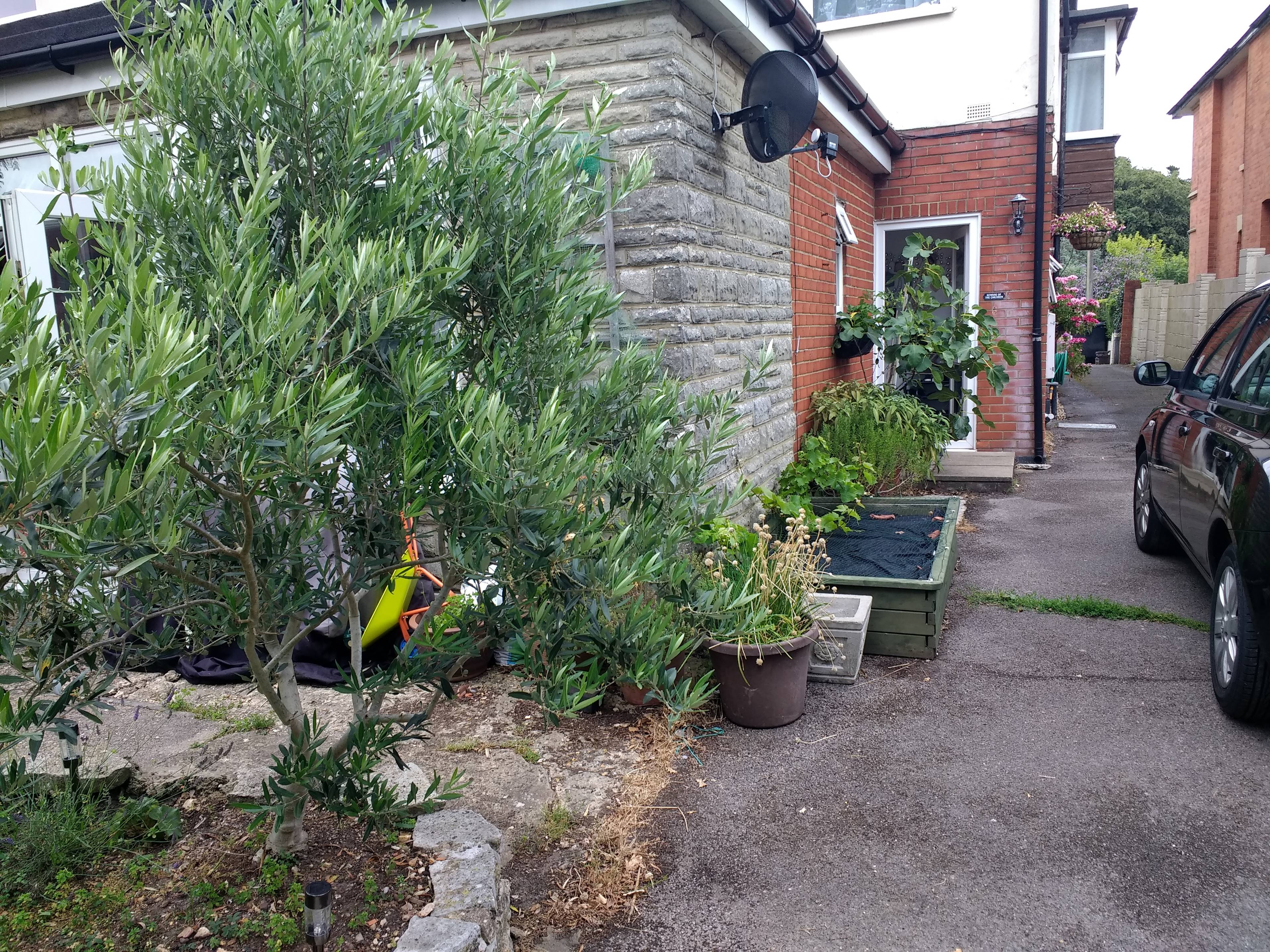 Driveway