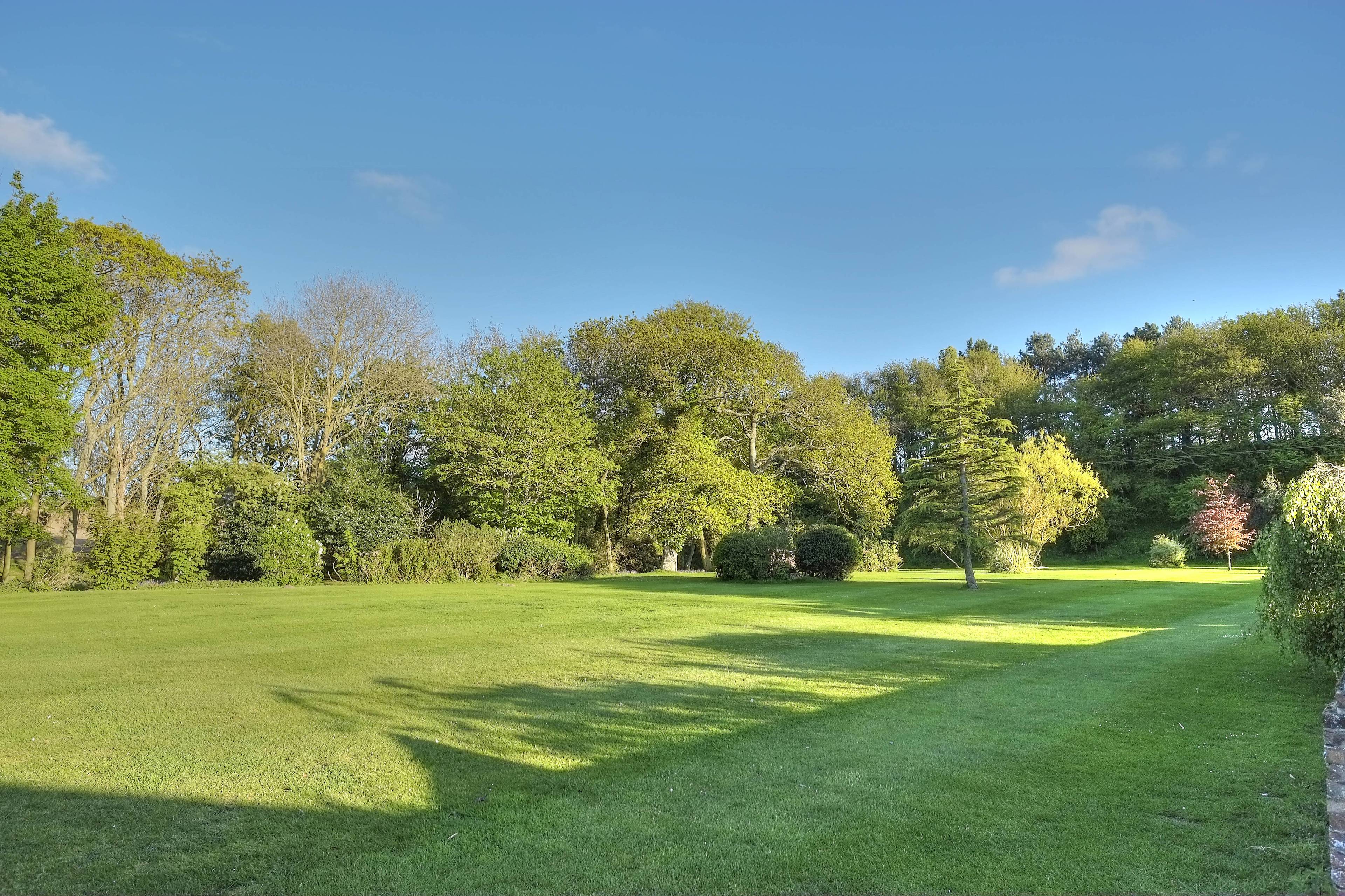 Grounds
