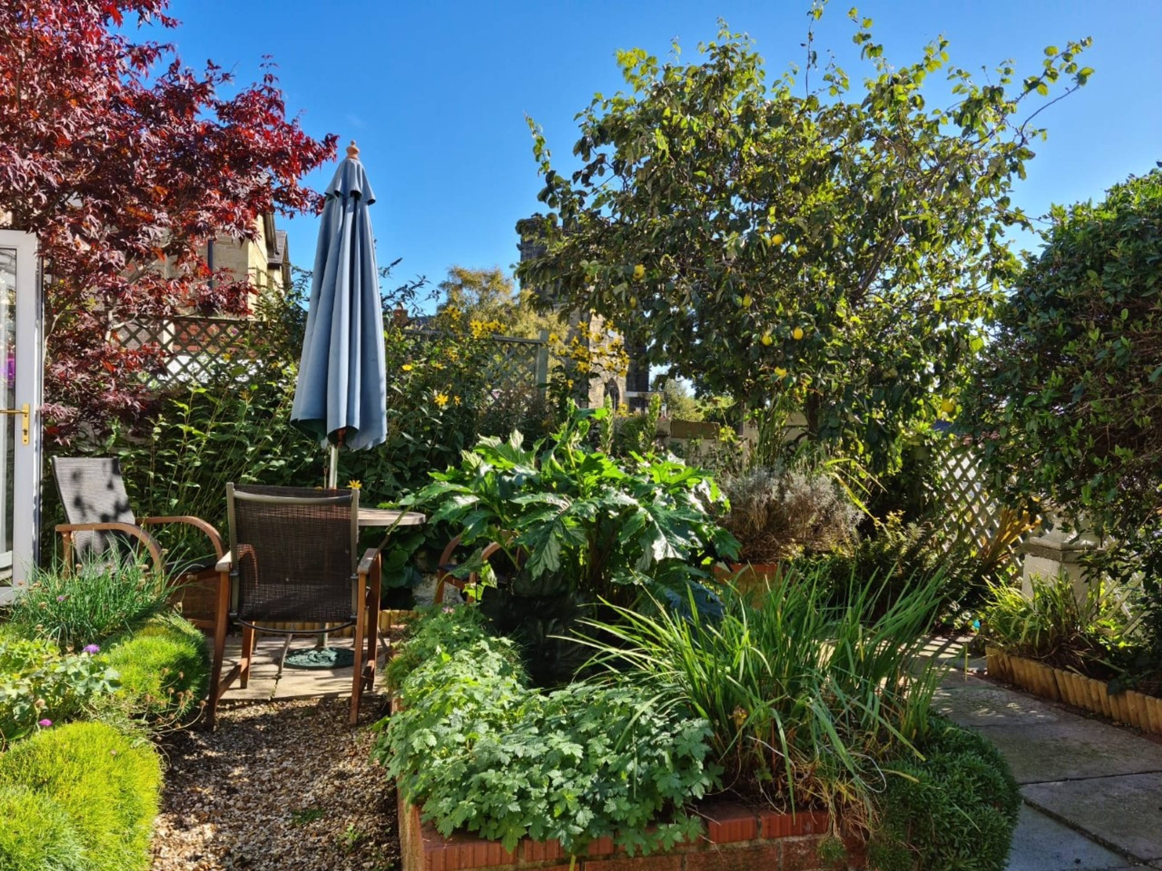Garden