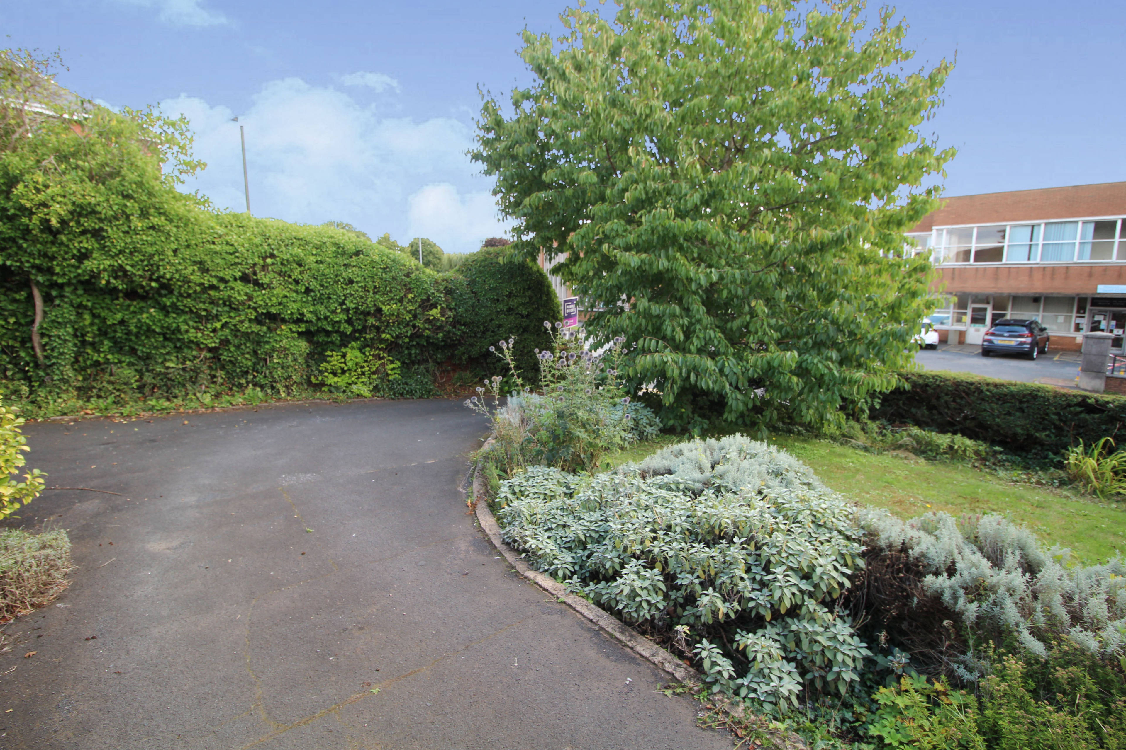 Driveway