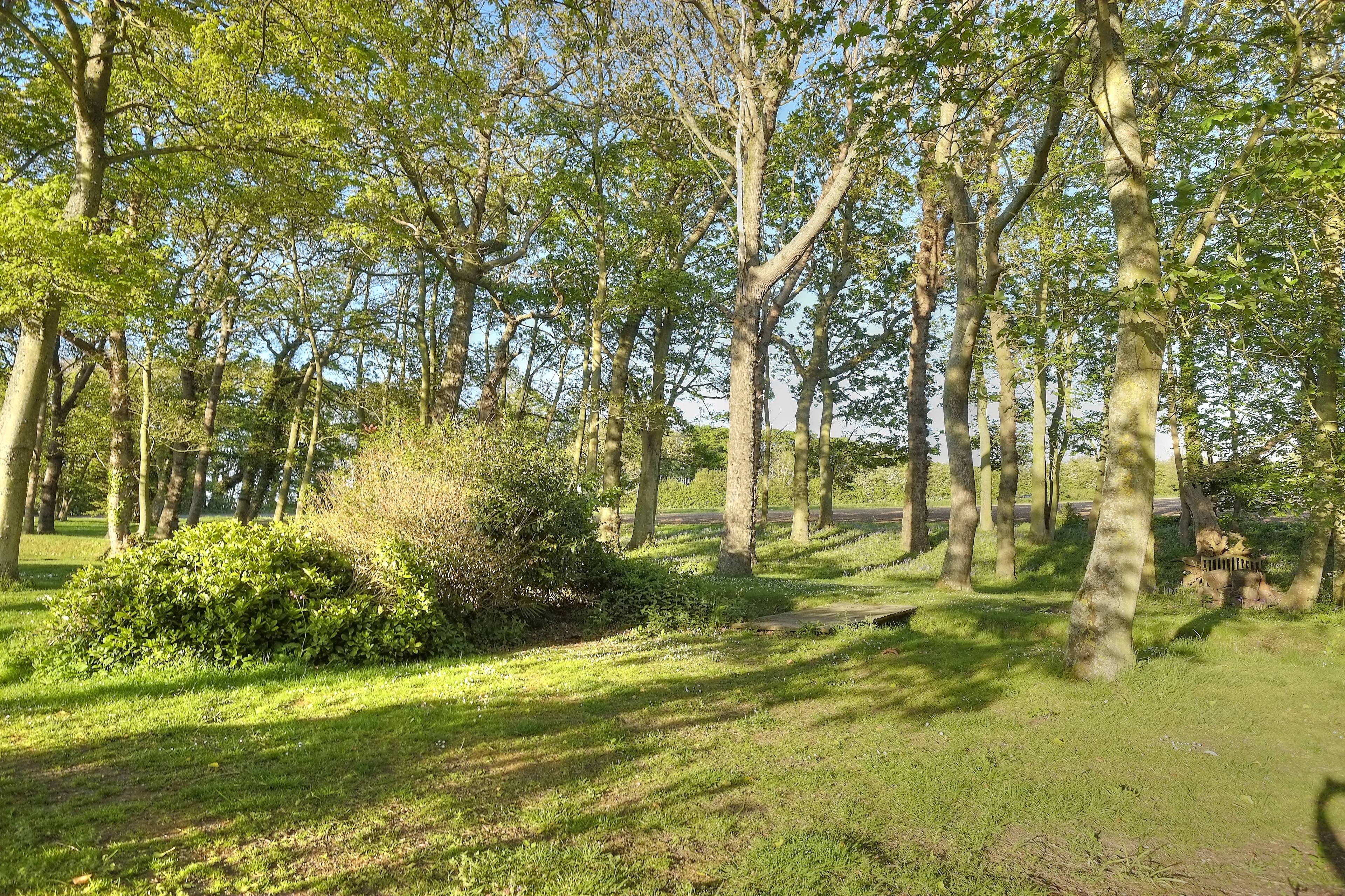 Grounds