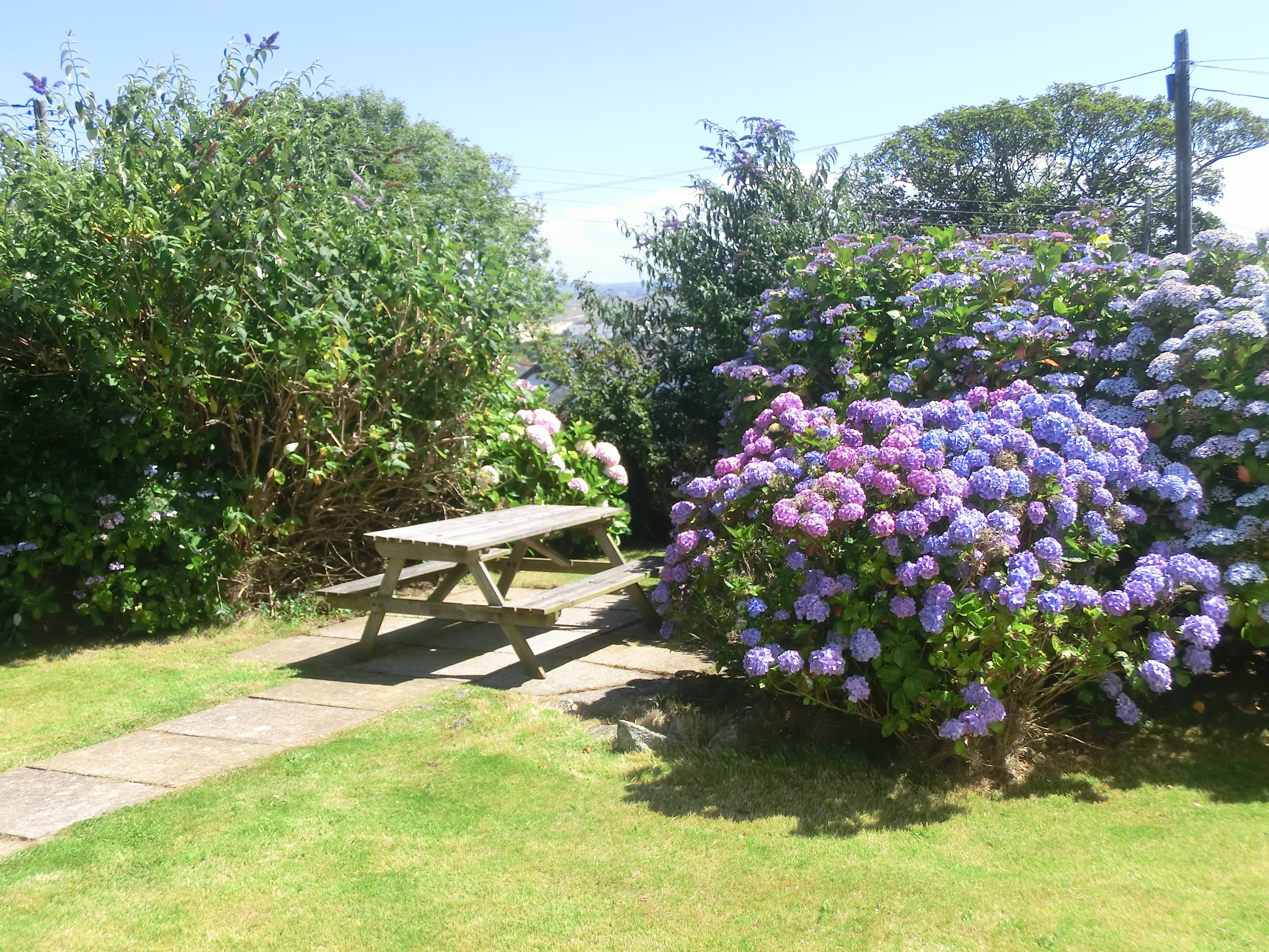 Communal Gardens