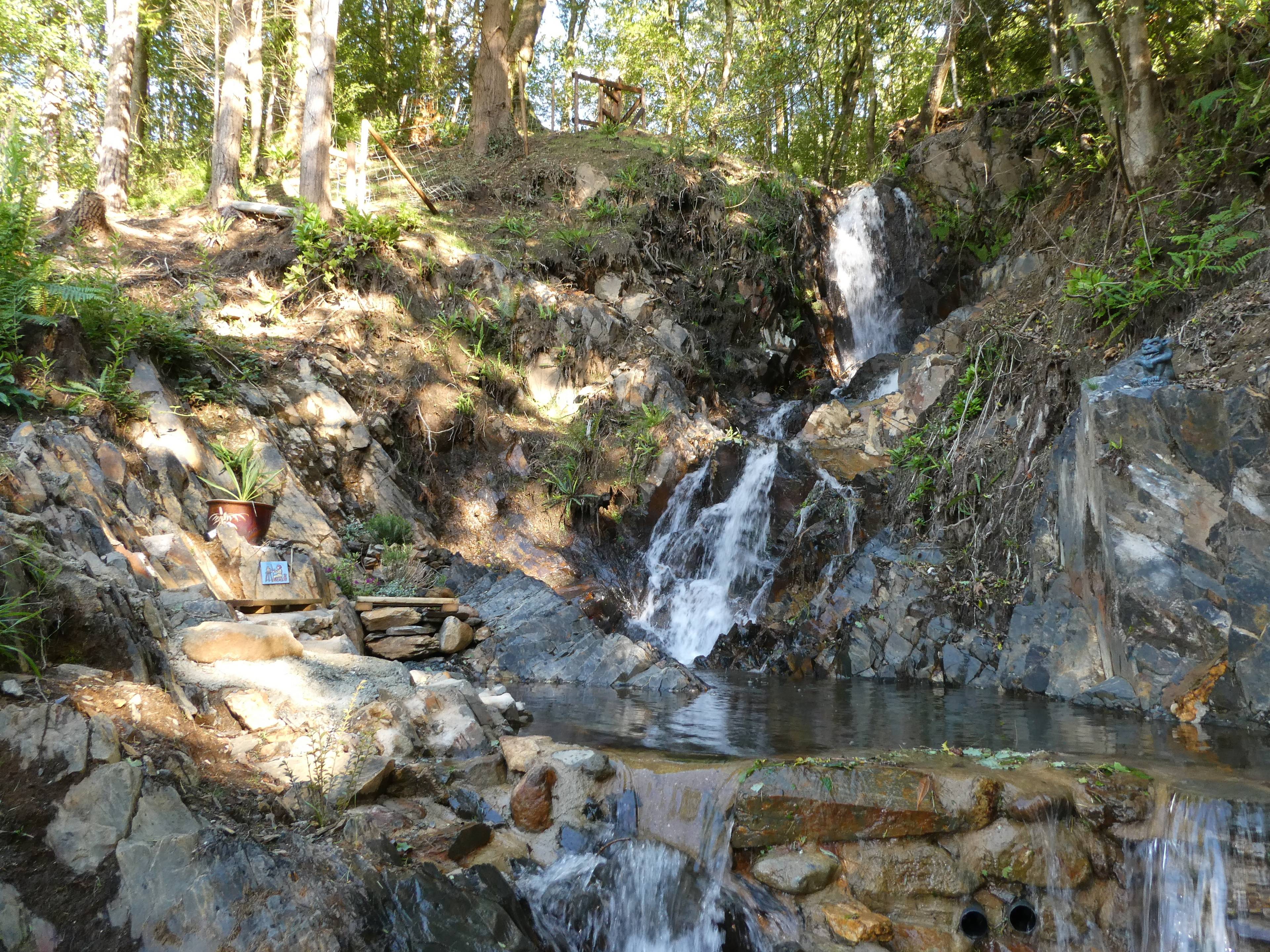 Pond