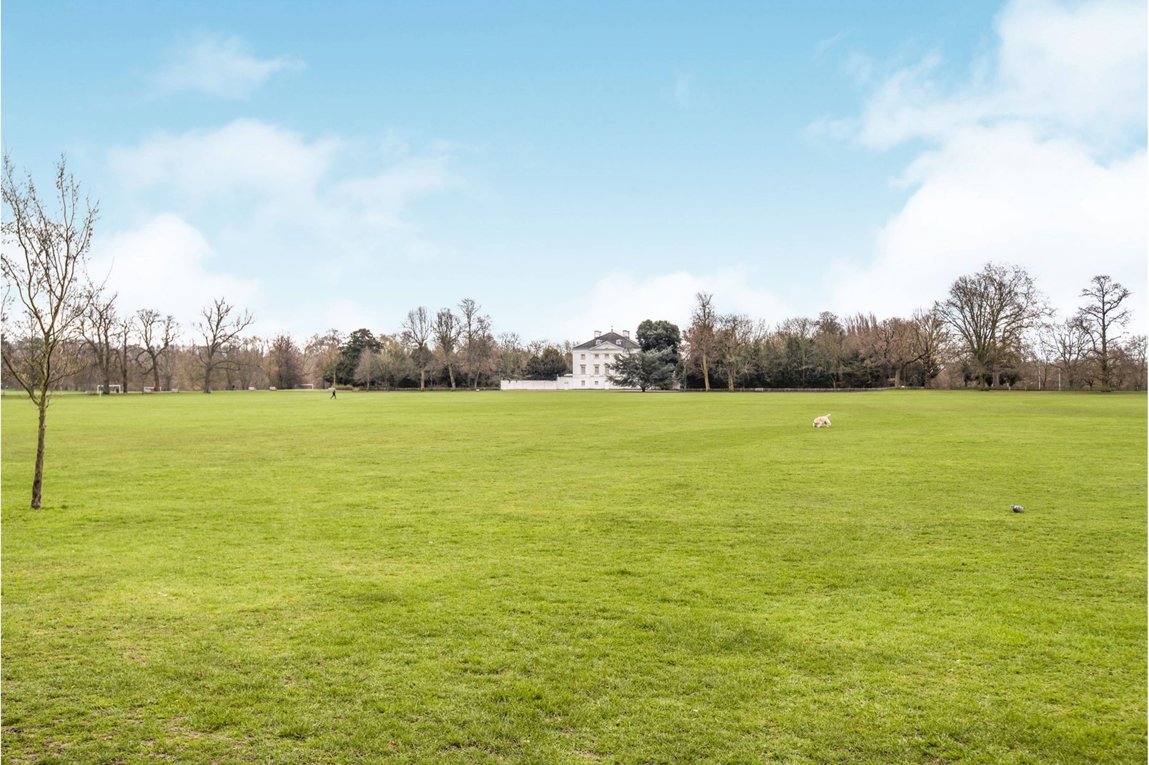 Nearby Park
