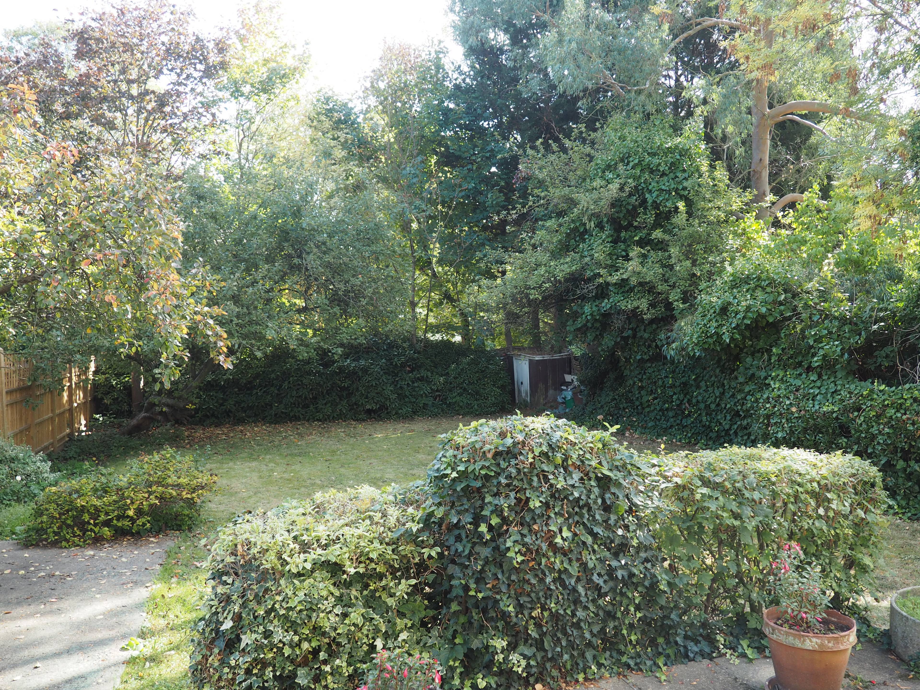 Communal Gardens