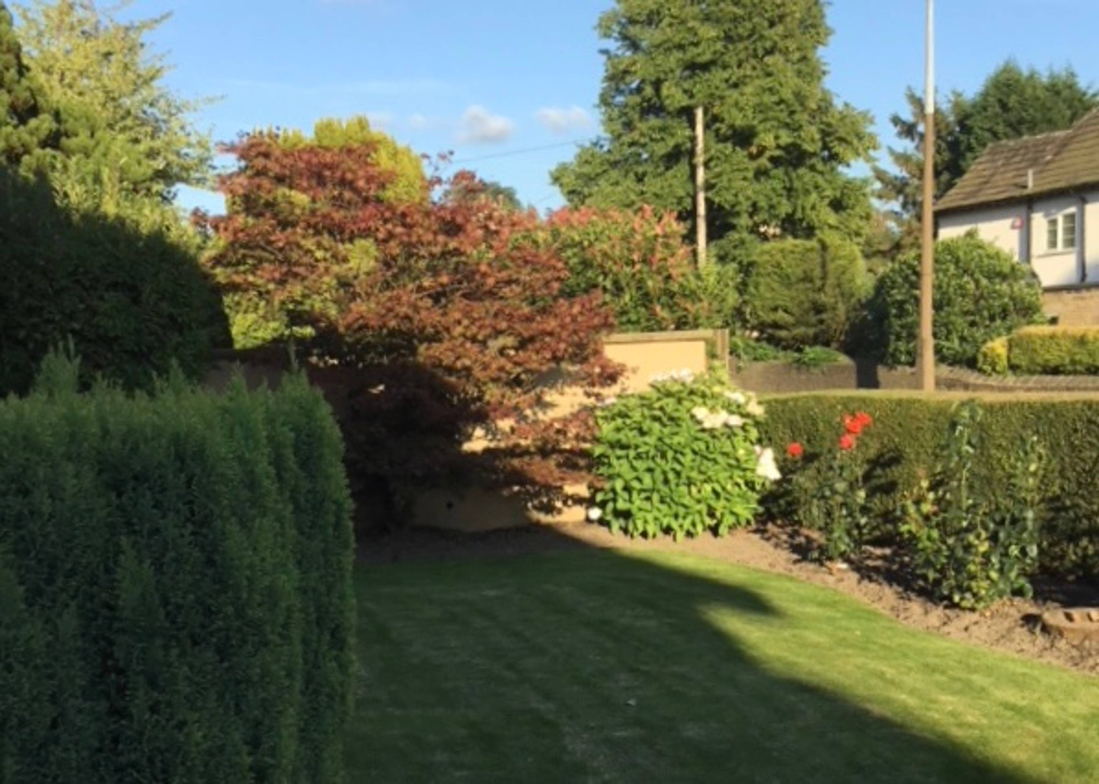 Front Garden