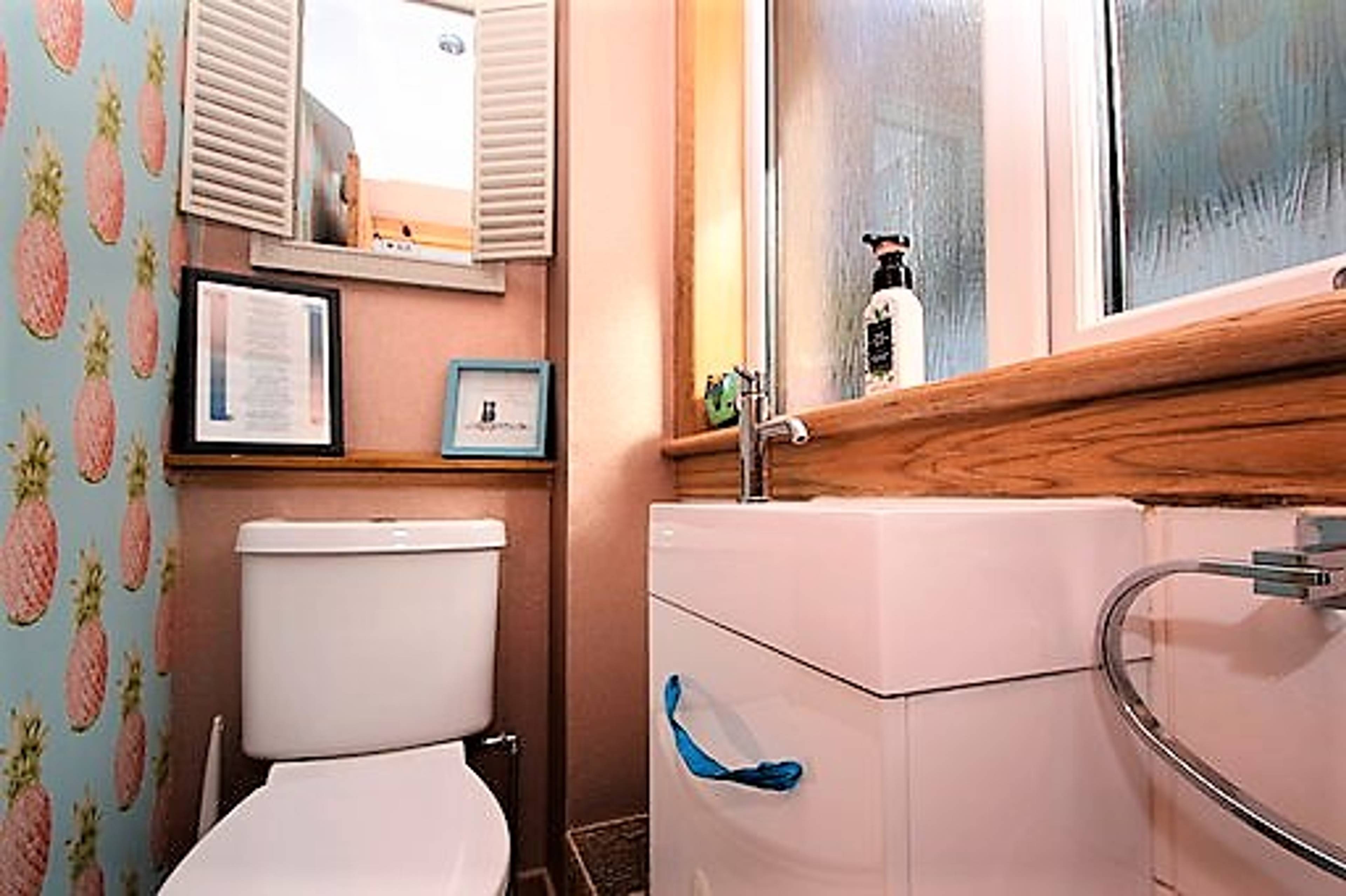 Downstairs Cloakroom