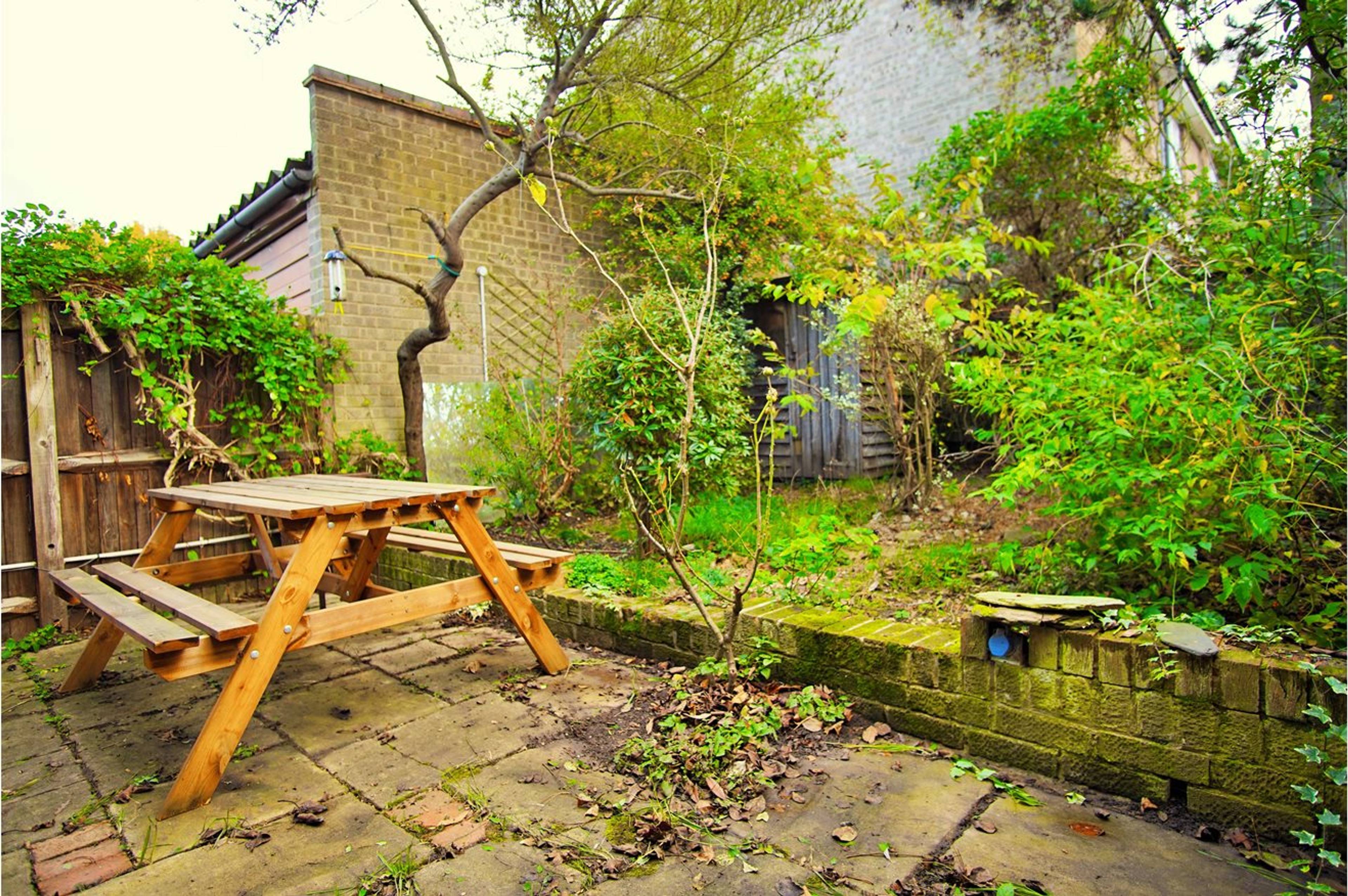 Garden