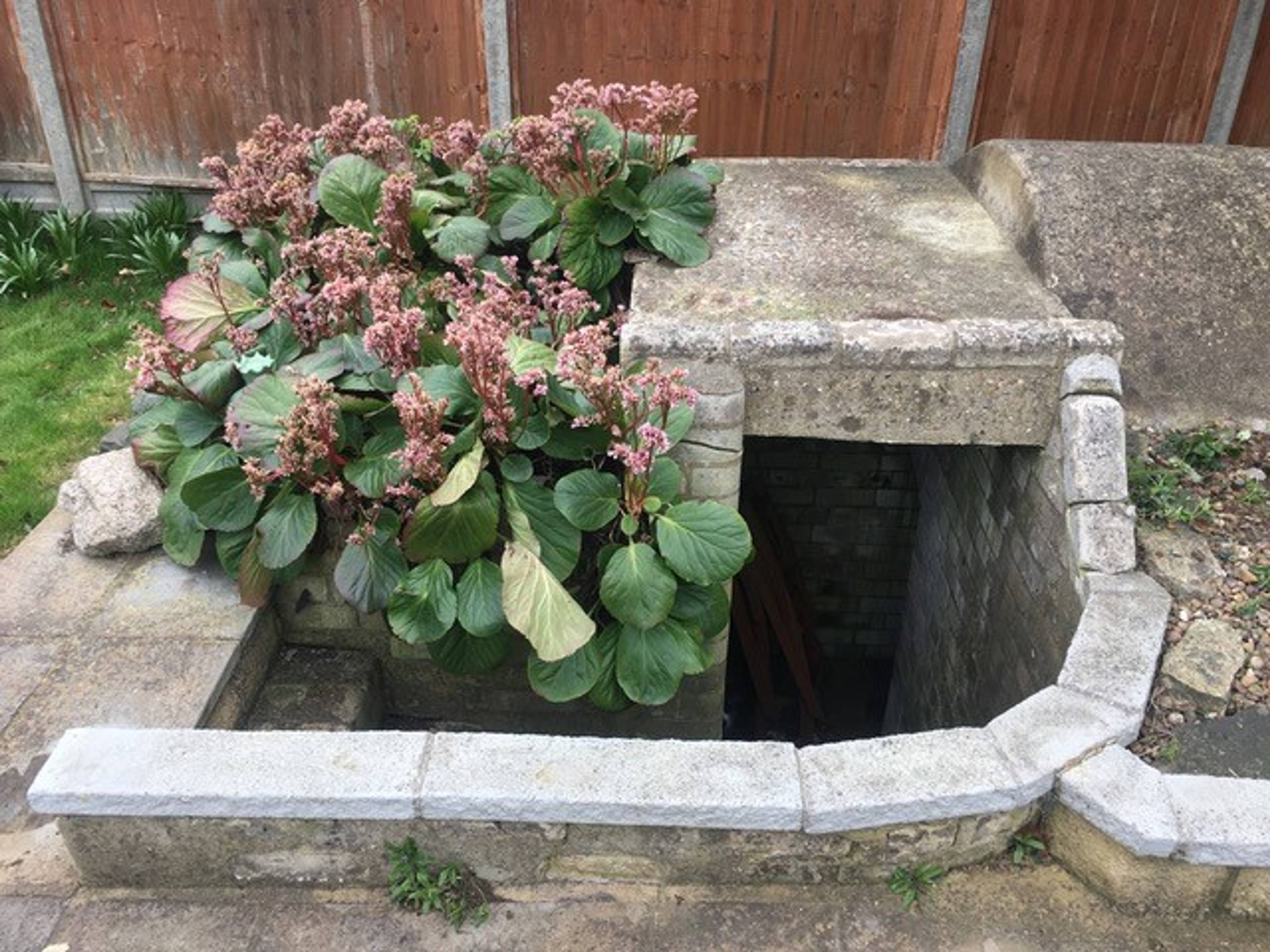 Shelter