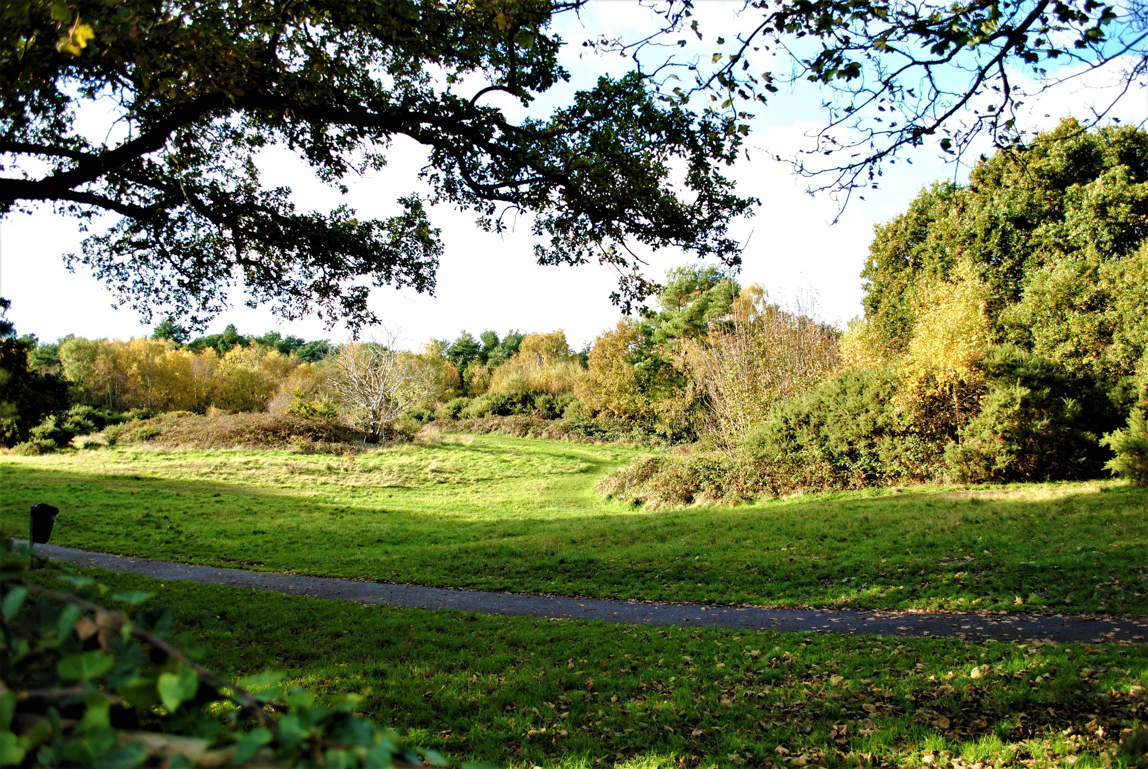 Nature Reserve