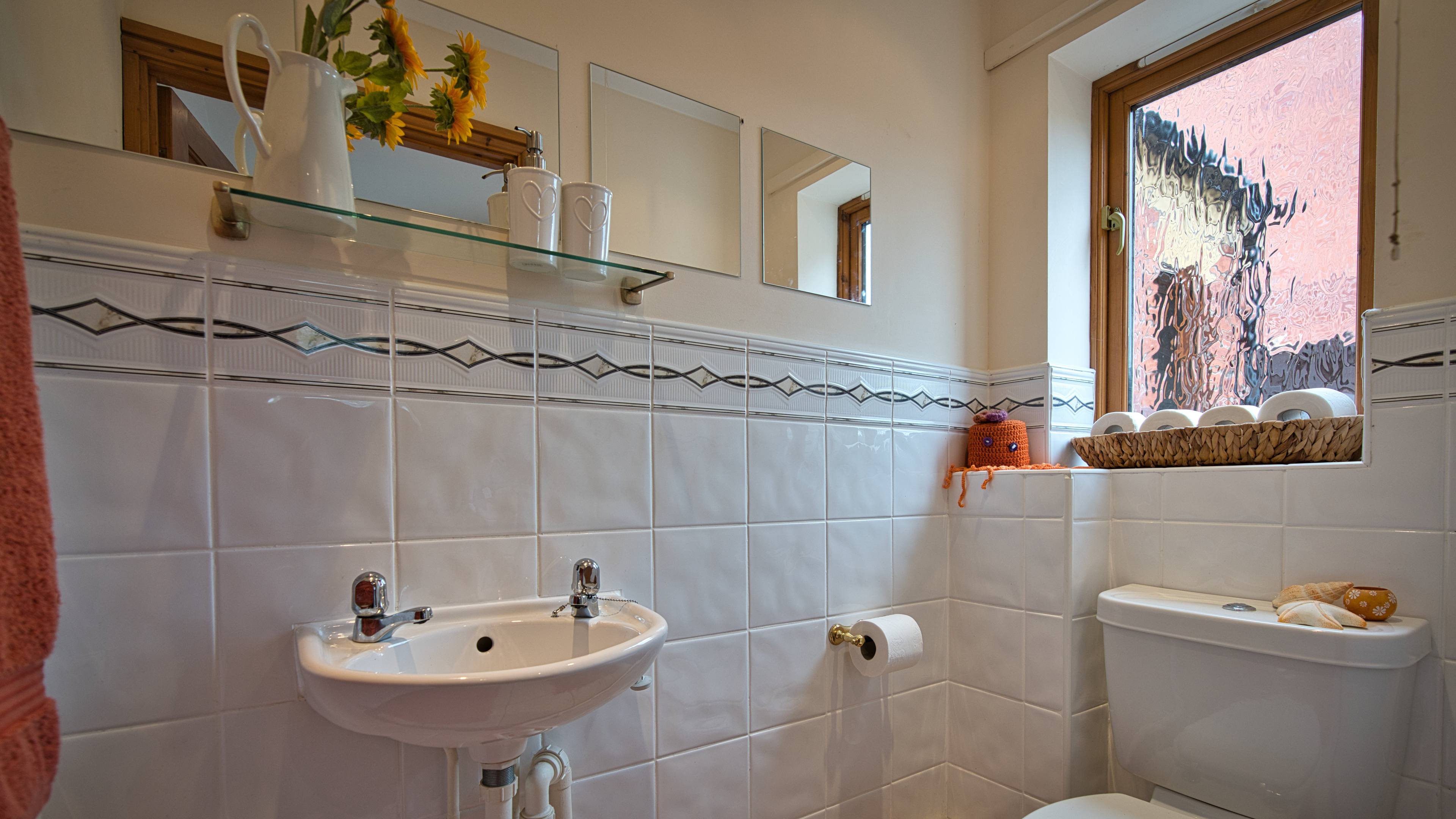 Downstairs Cloakroom