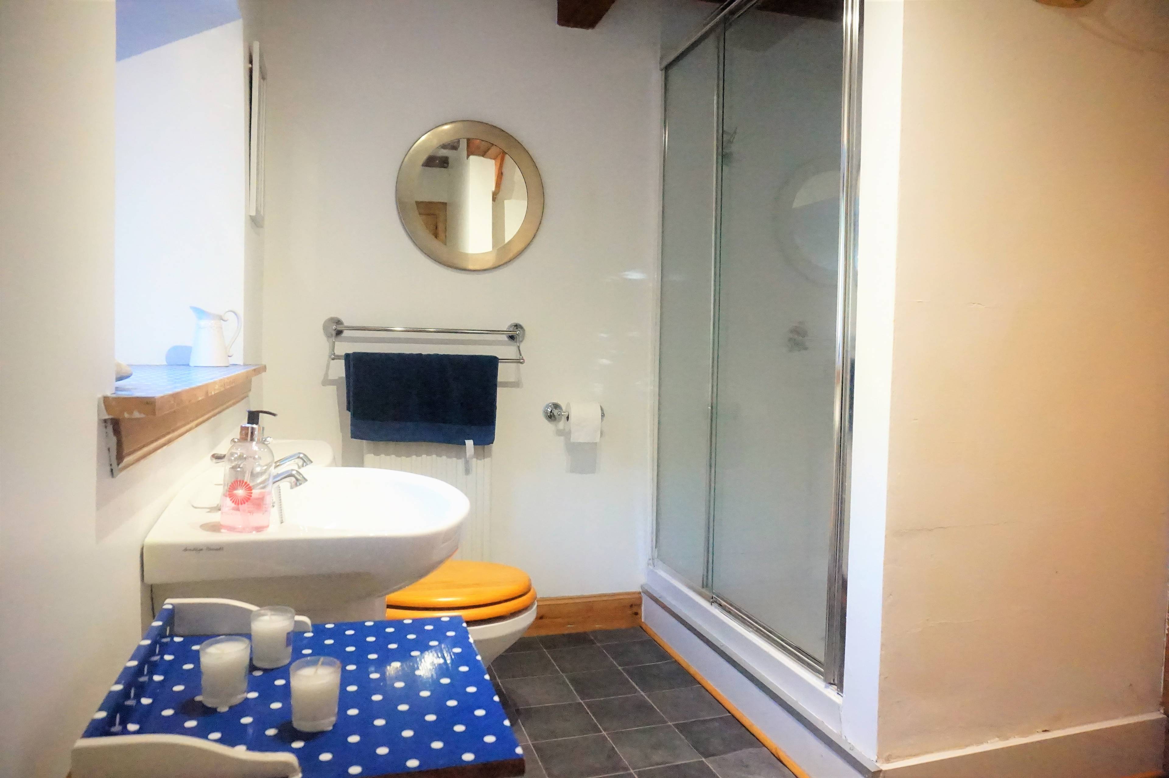 Downstairs Shower