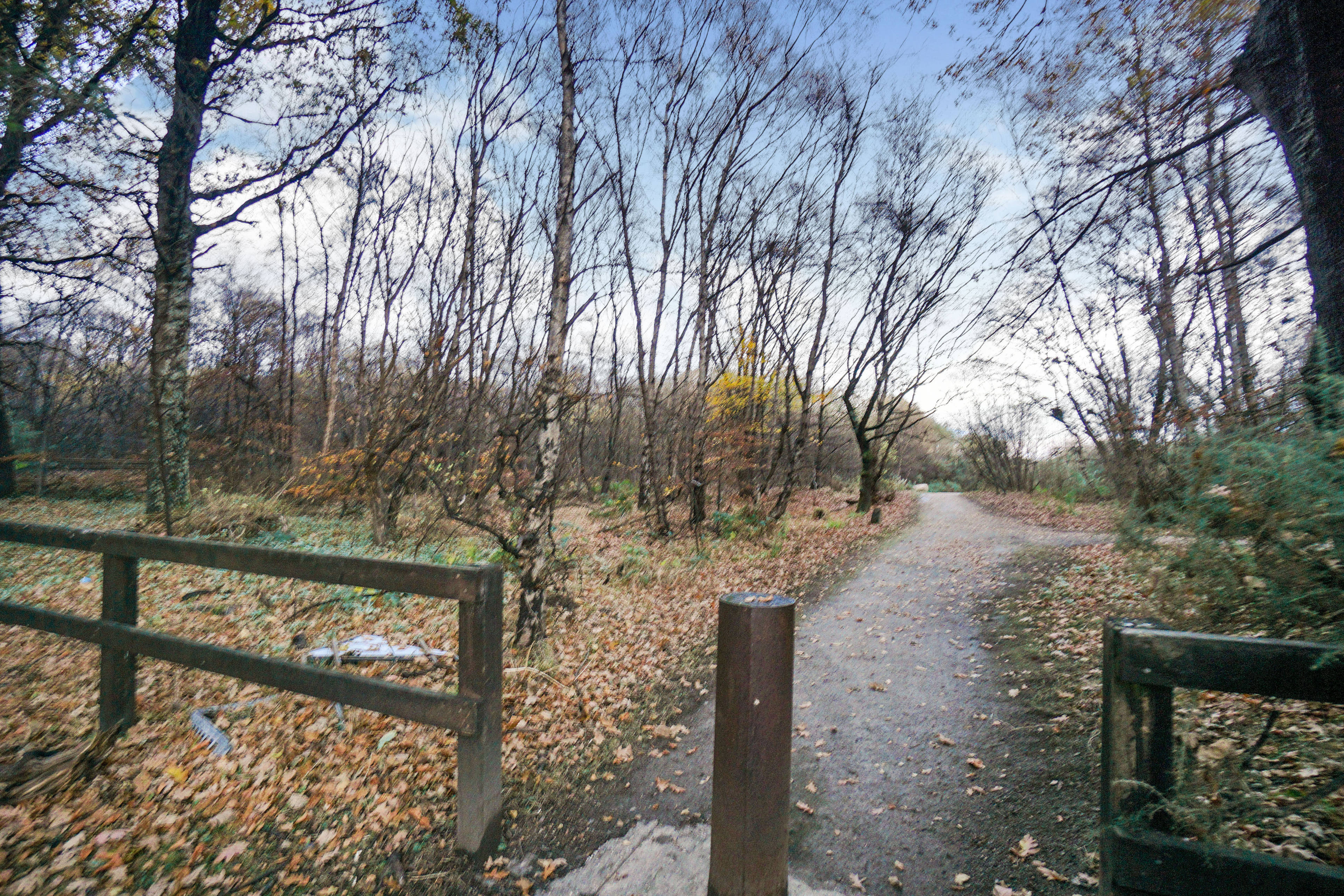 Local Area