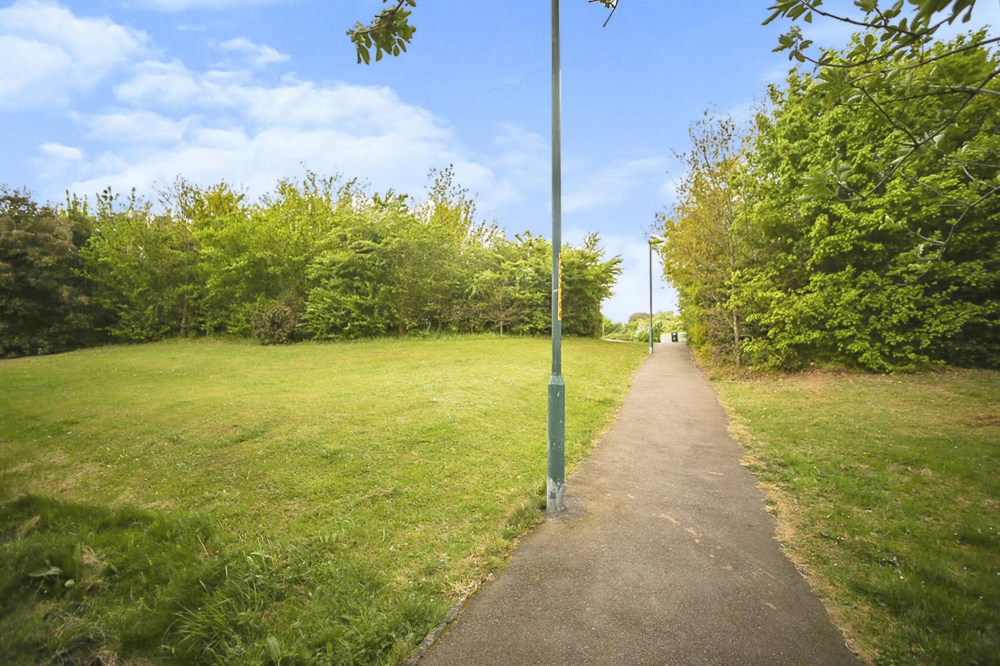 Surrounding Area