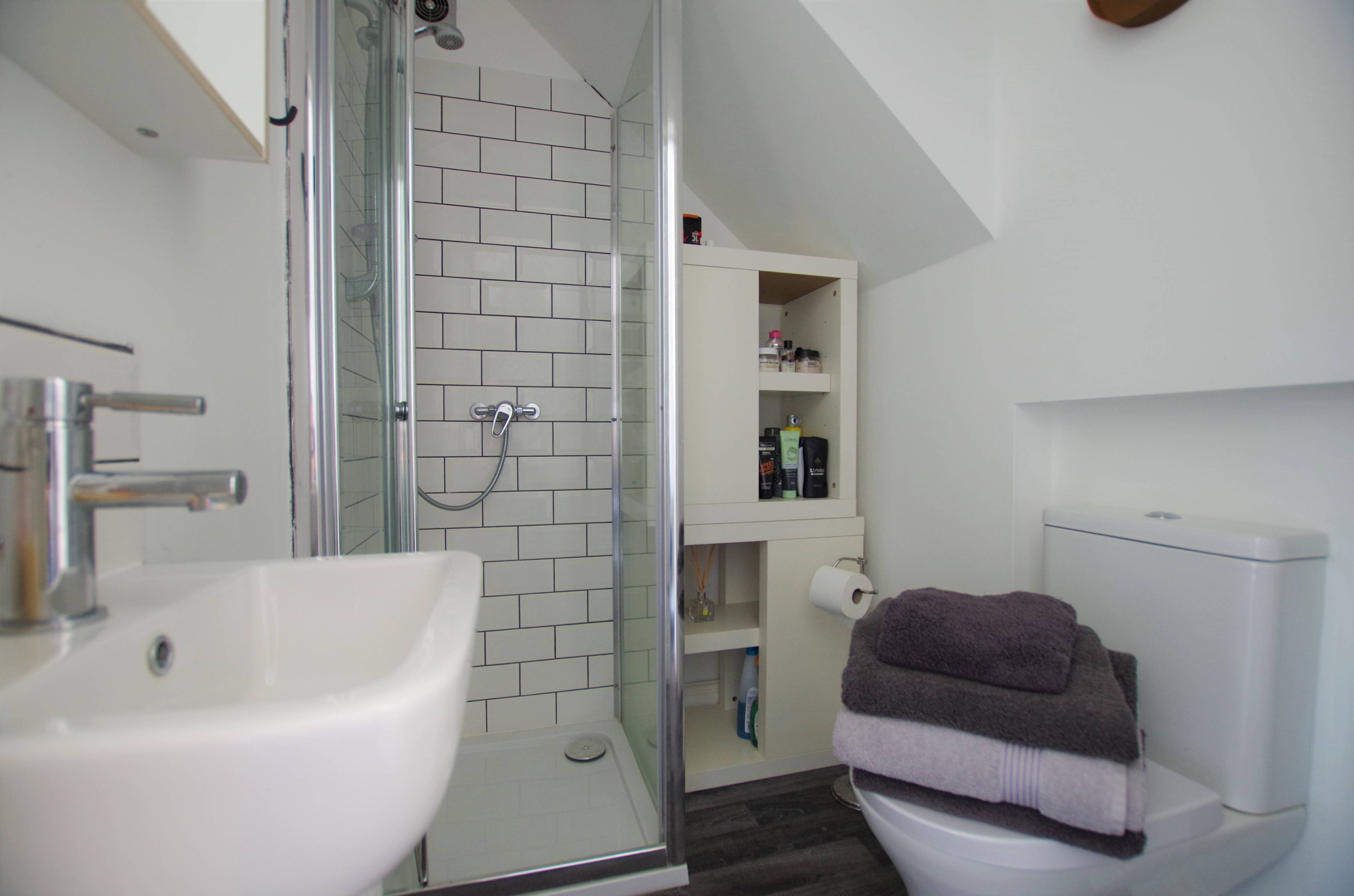 Annexe Shower Room